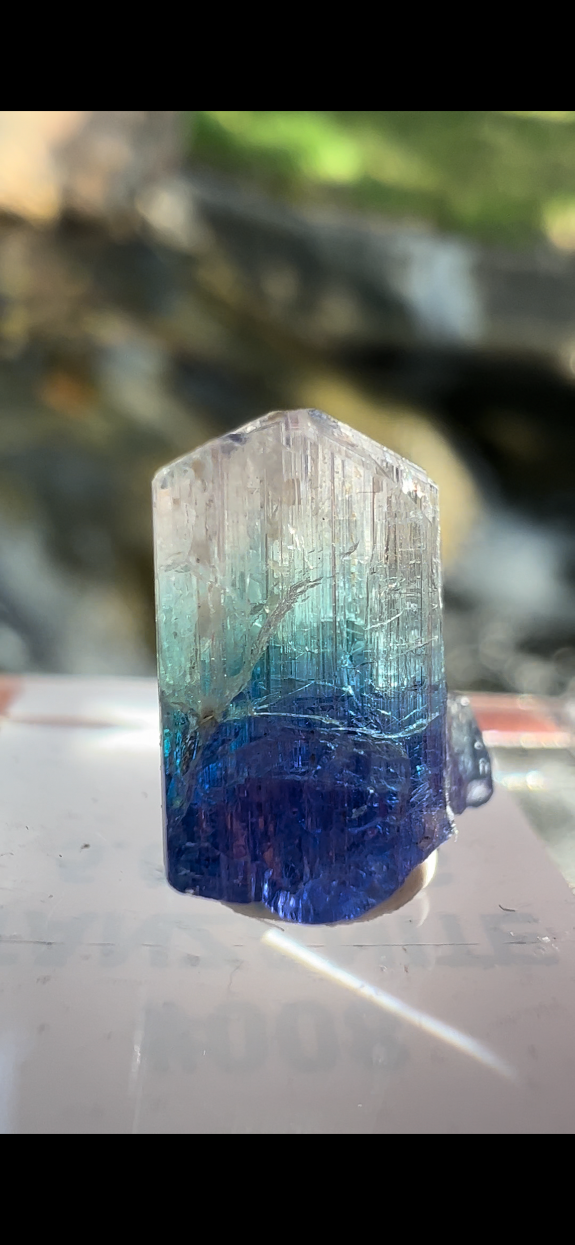 F48822F2-6E7C-4EEB-8978-362FDF4B9B62