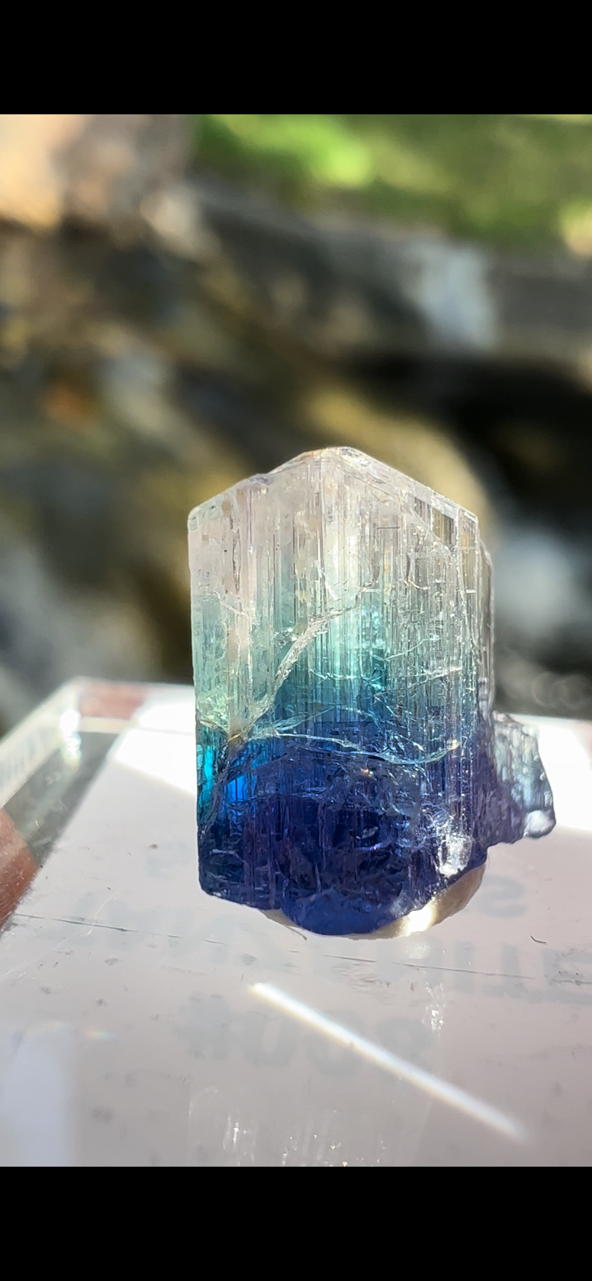 A6D3BE95-7781-4AEB-8AC4-E627C9BAAD53