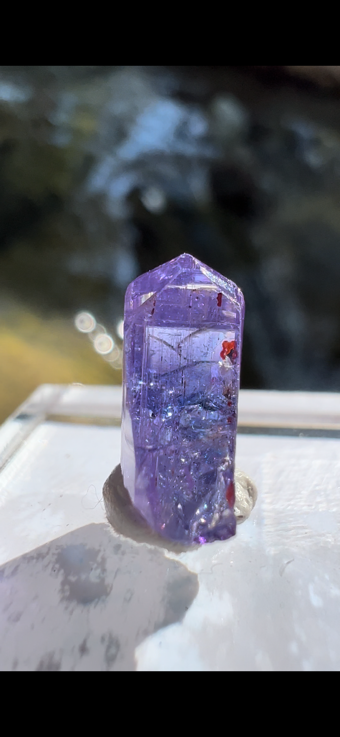 DF9A85F1-8077-4956-A016-5C611ABFE18F