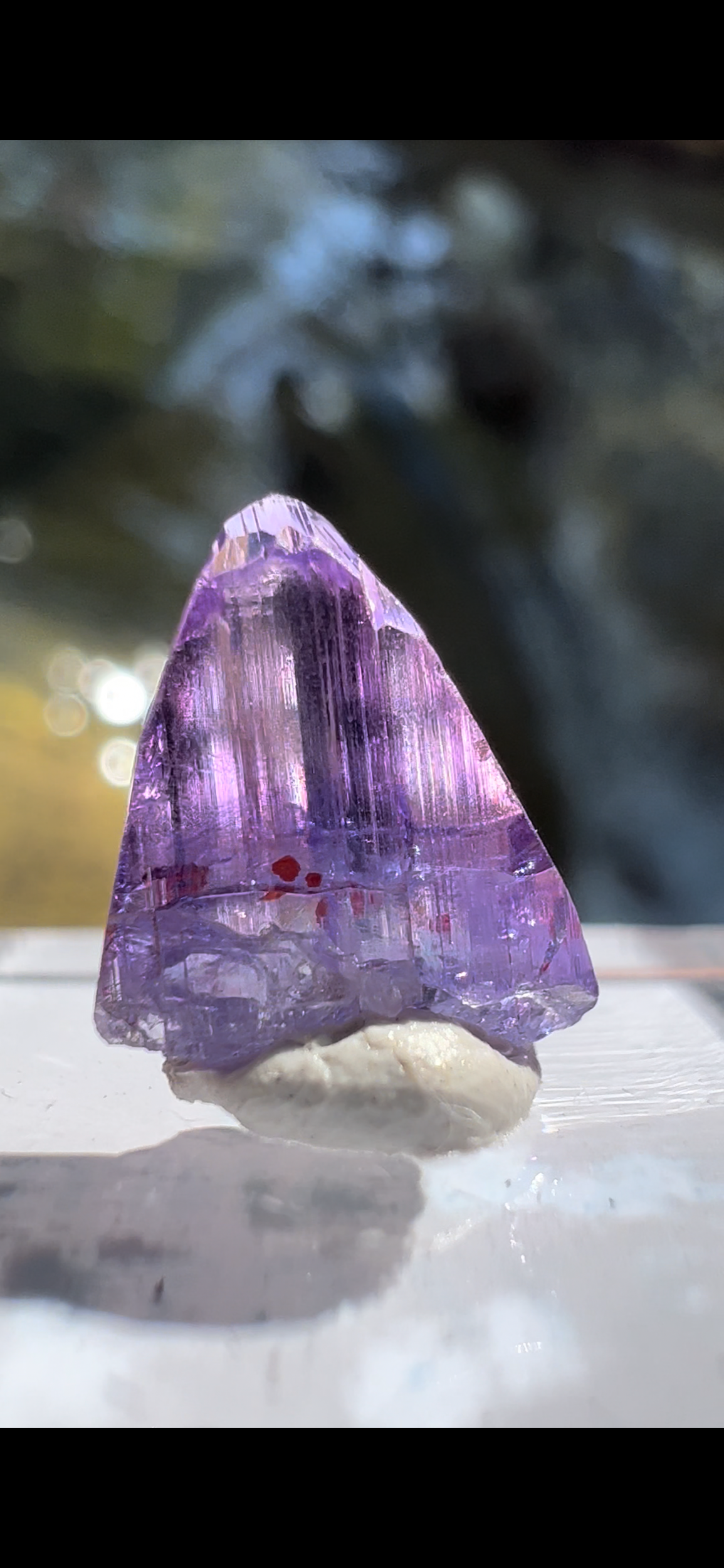 76D227CF-425F-48AC-9DDA-DD4E73FE33C9