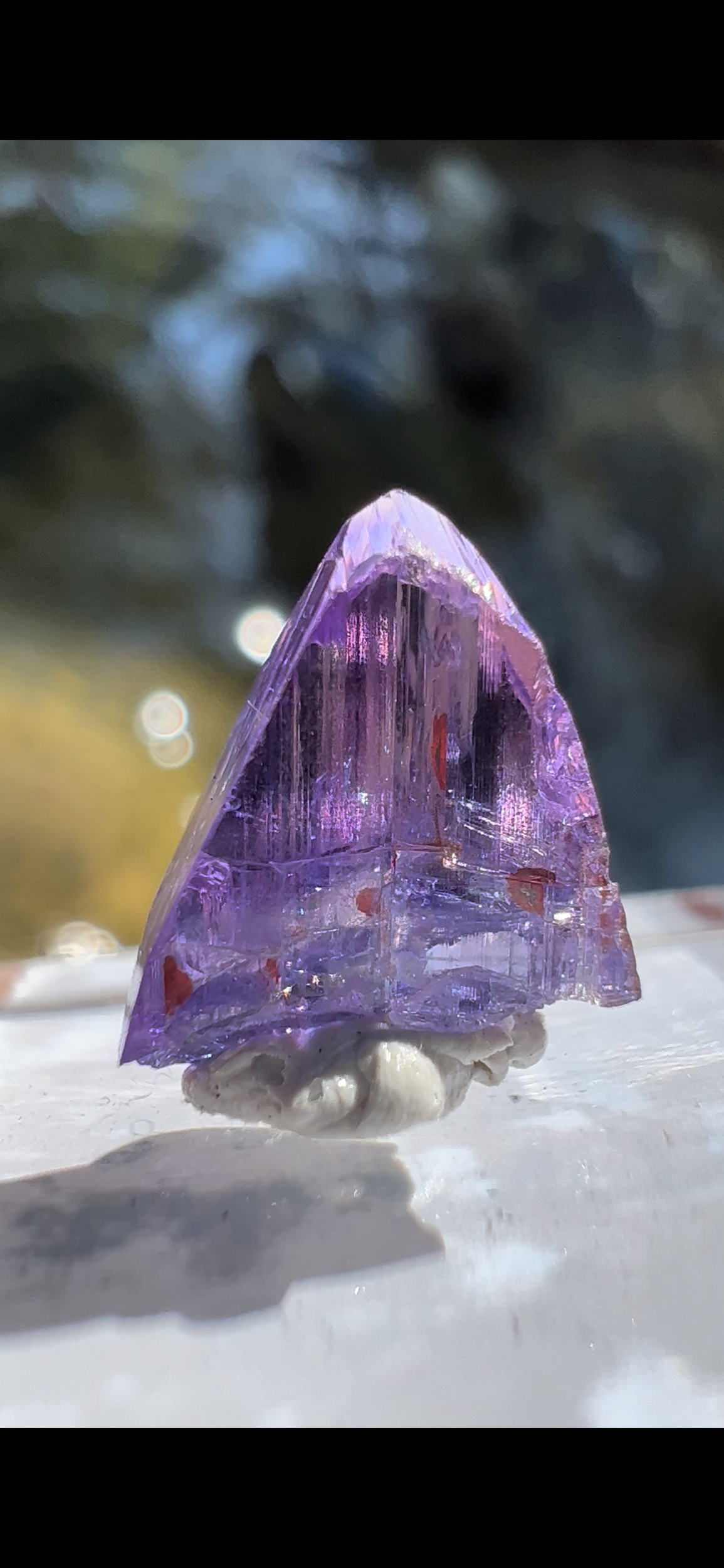 263FEDEE-A3C3-4C40-8AC9-34E063B2963D