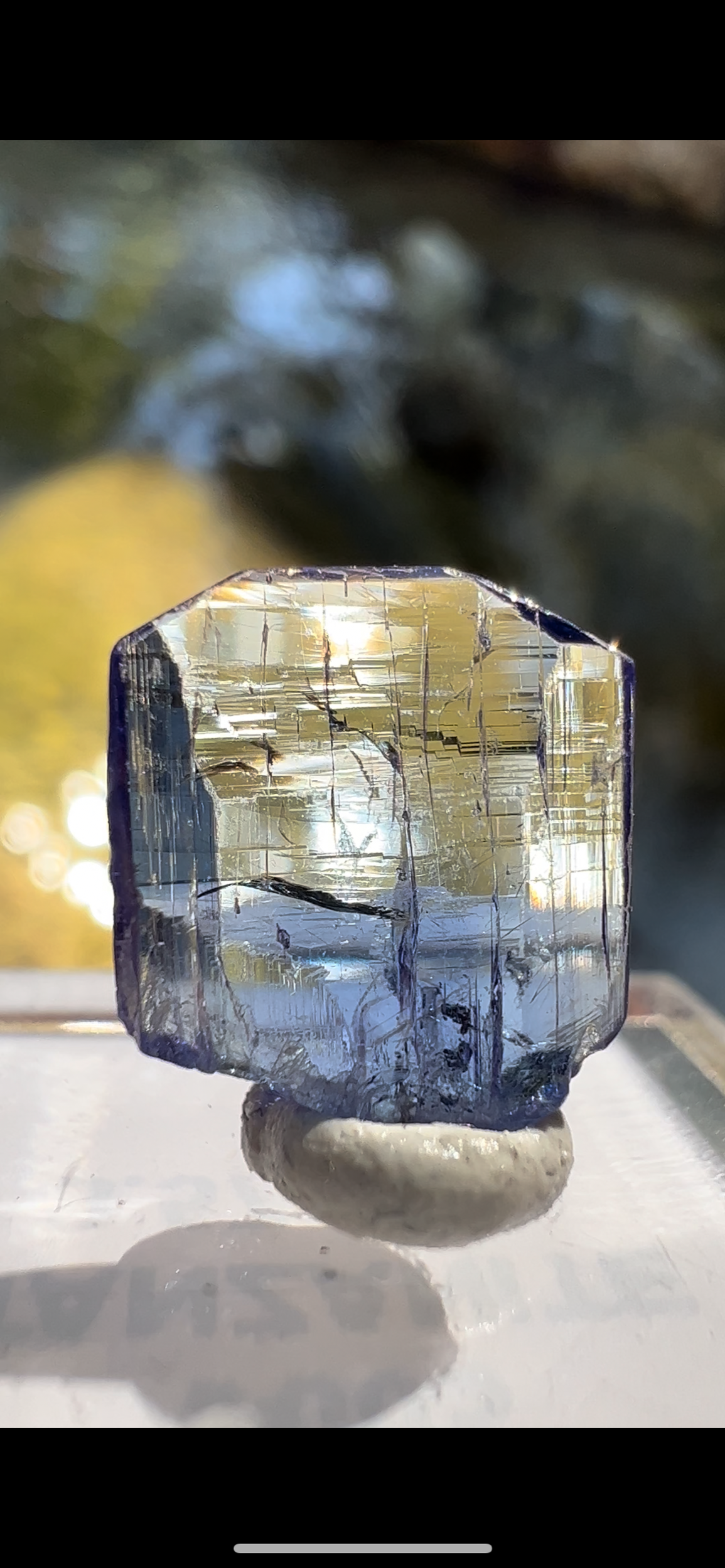 3DB8C26C-B5D2-4860-BC9A-58B2C15A34AC