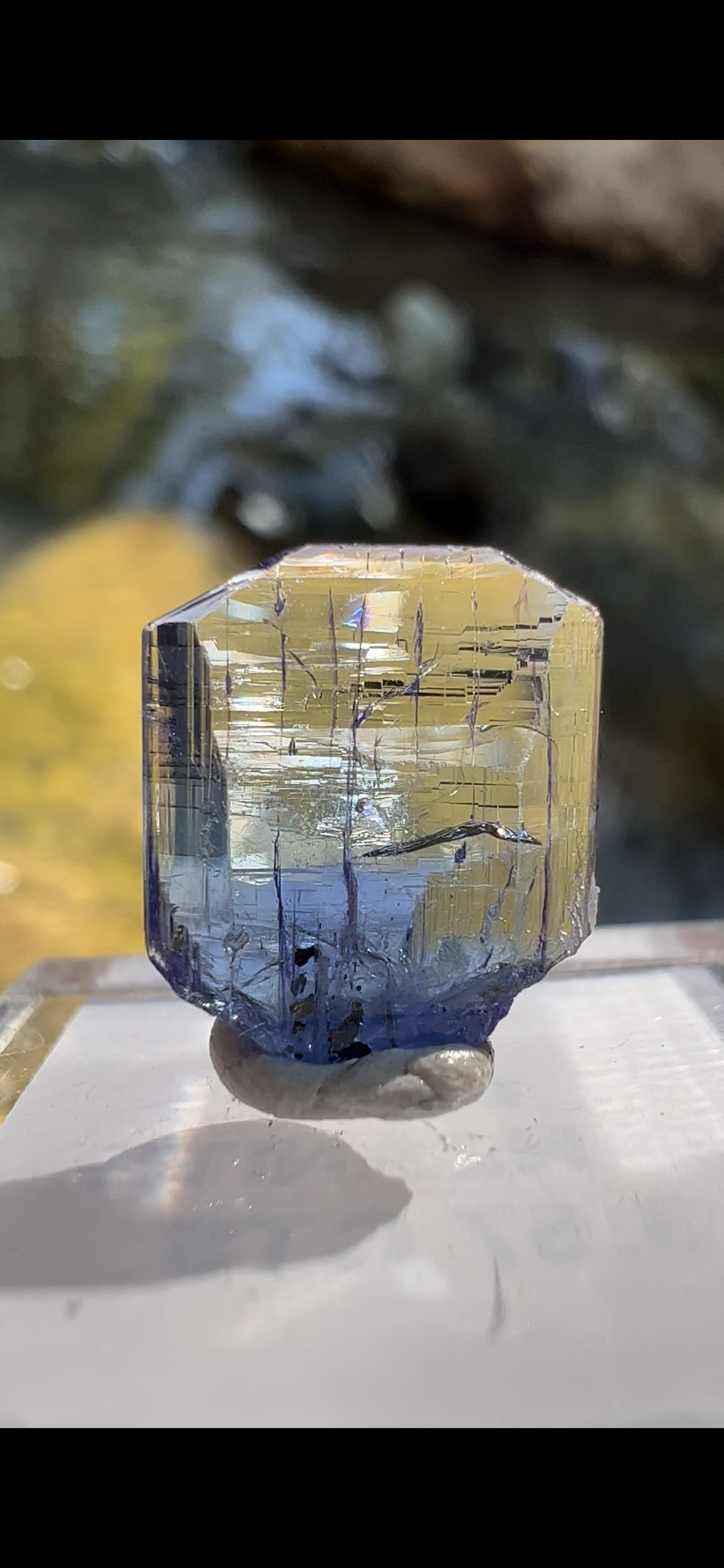 9FC1C1AC-72EB-4F1D-AE7E-AEC4D8F716AD