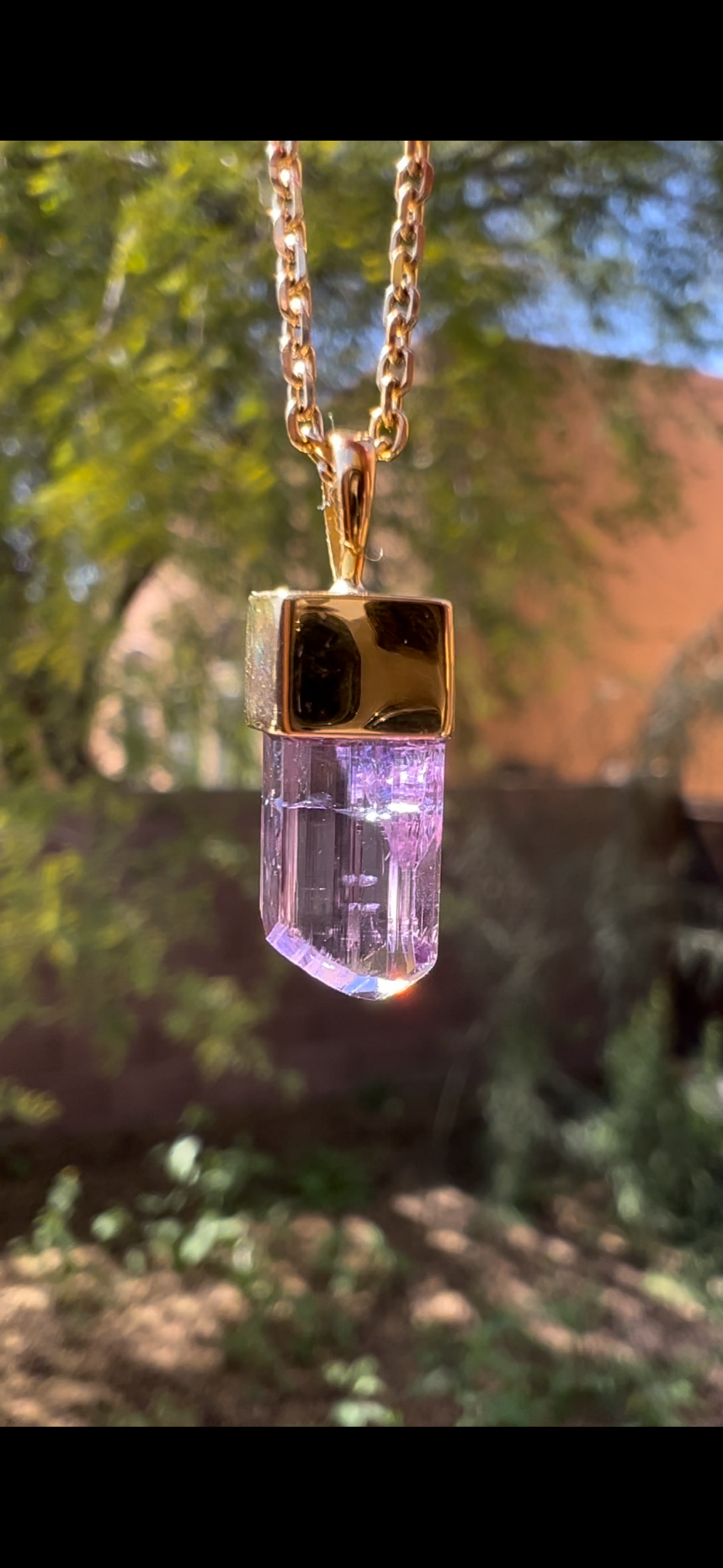 425B98EE-0E99-4A57-9CD1-AA3D46769C21