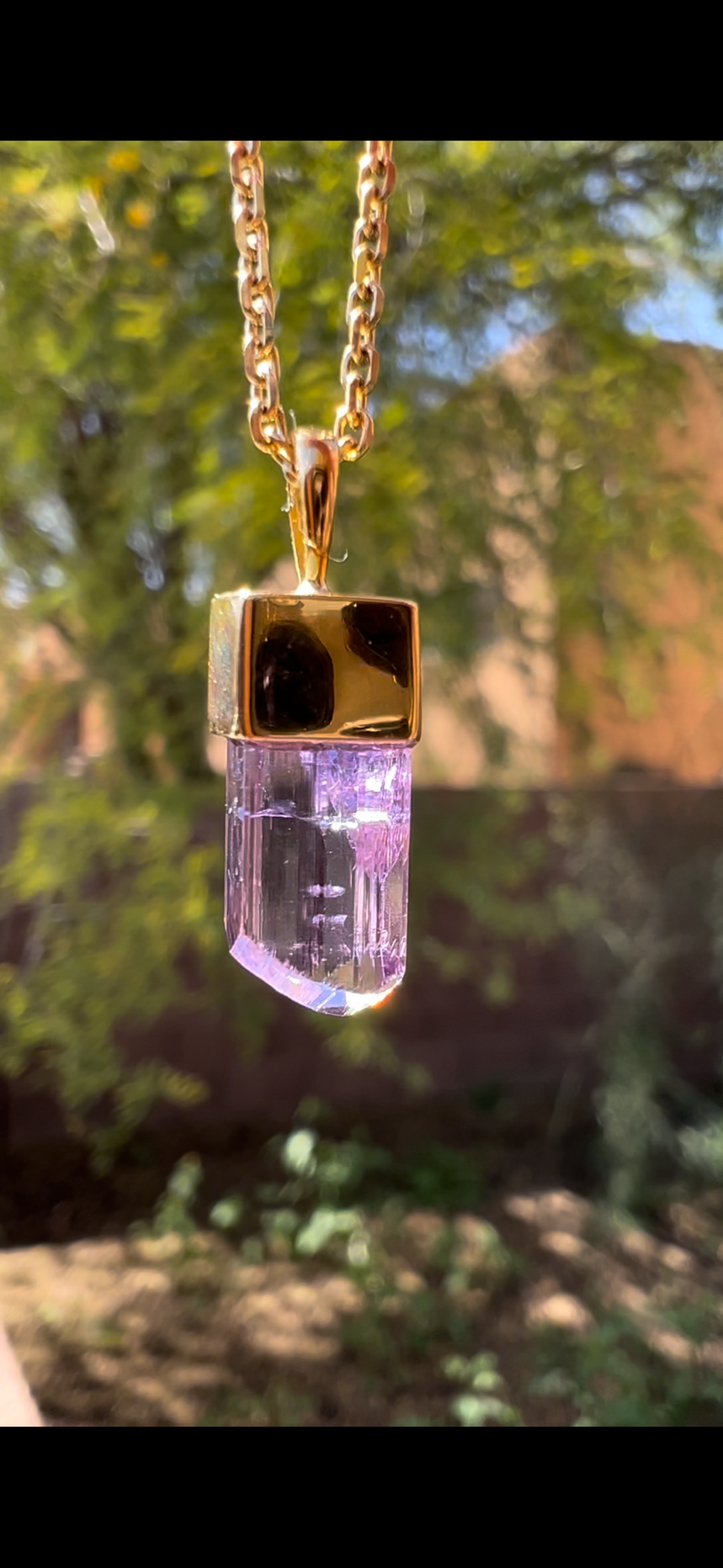 D72CE46B-380A-4900-BCD4-036A8D5CC8C1