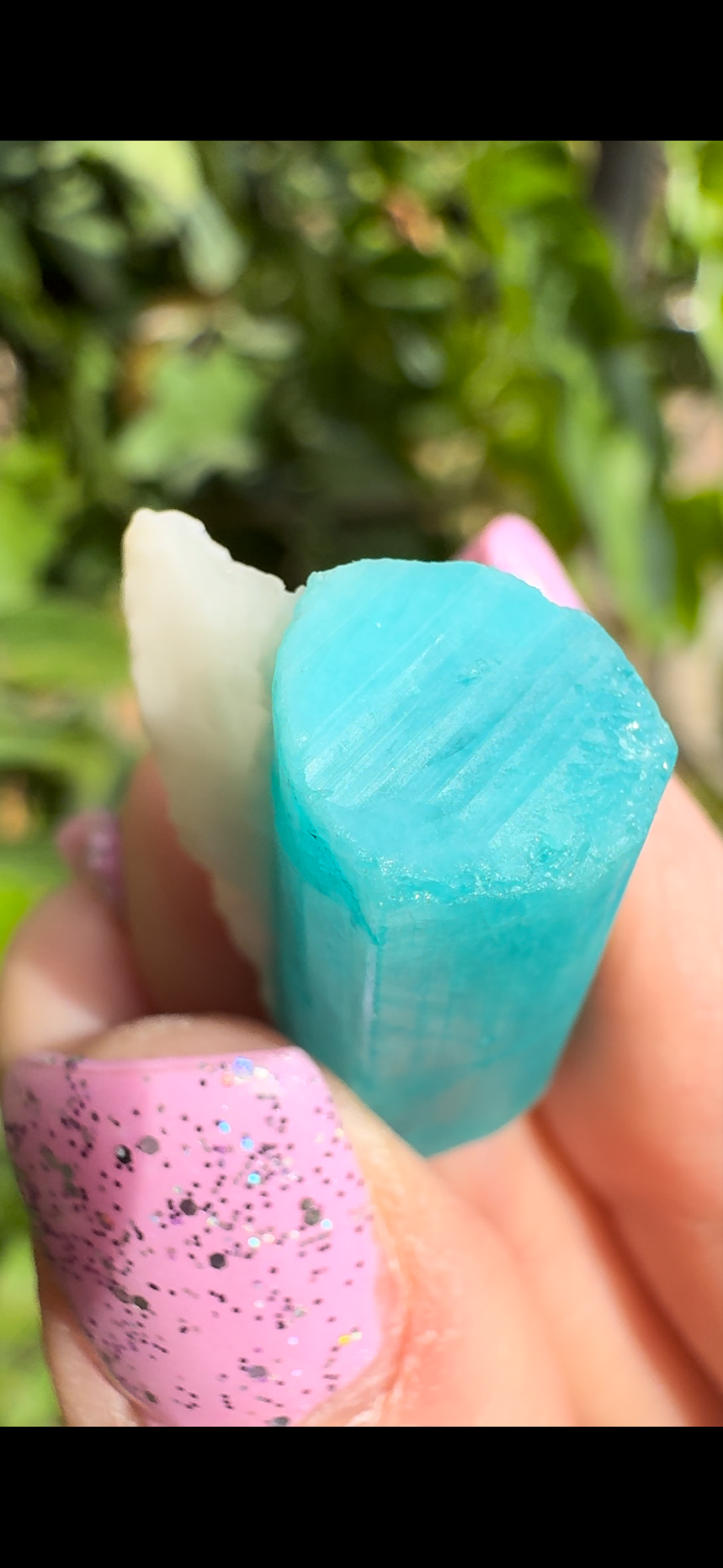 12E4C380-FD03-4081-B928-263F4FF48B8E