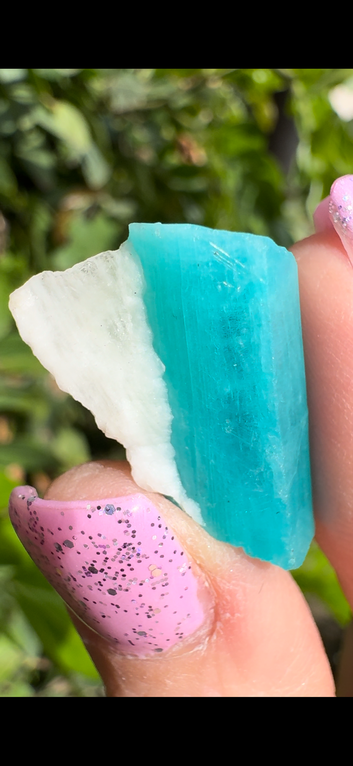 A8D00C69-1AF6-4E1F-8C45-3085D0882399