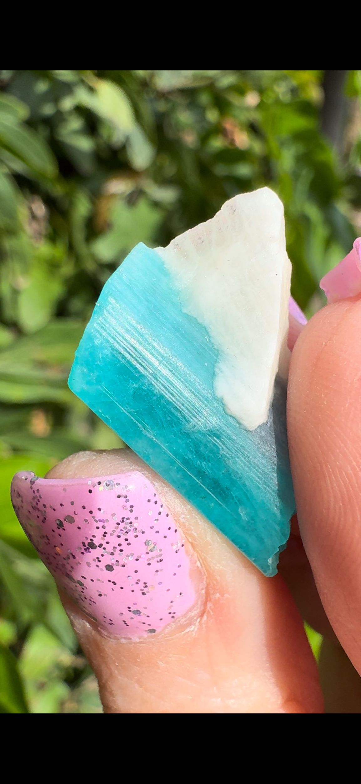 16A7ED46-EC63-4CBA-B4EA-366B84541973