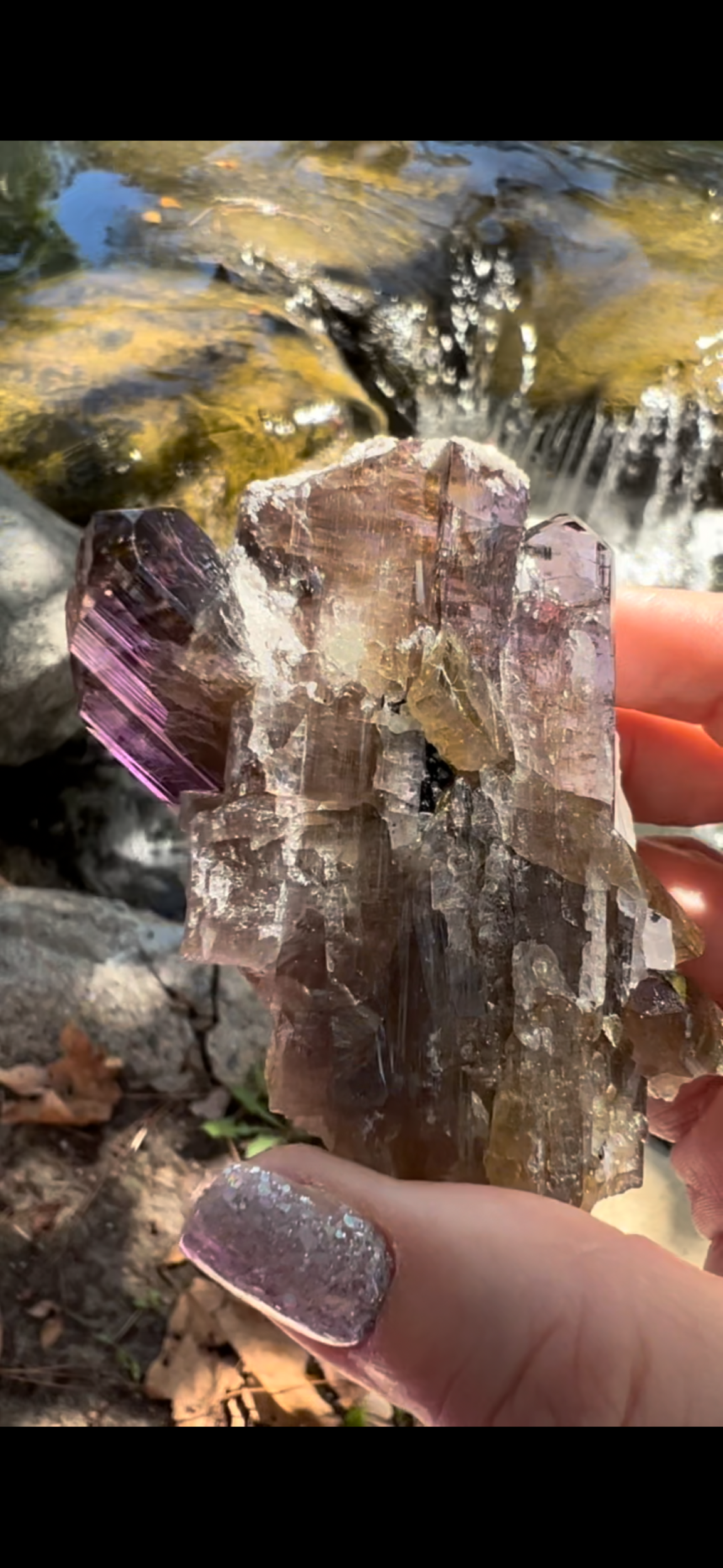 C1DDFD62-5F5B-4137-8912-1770EDF942A6