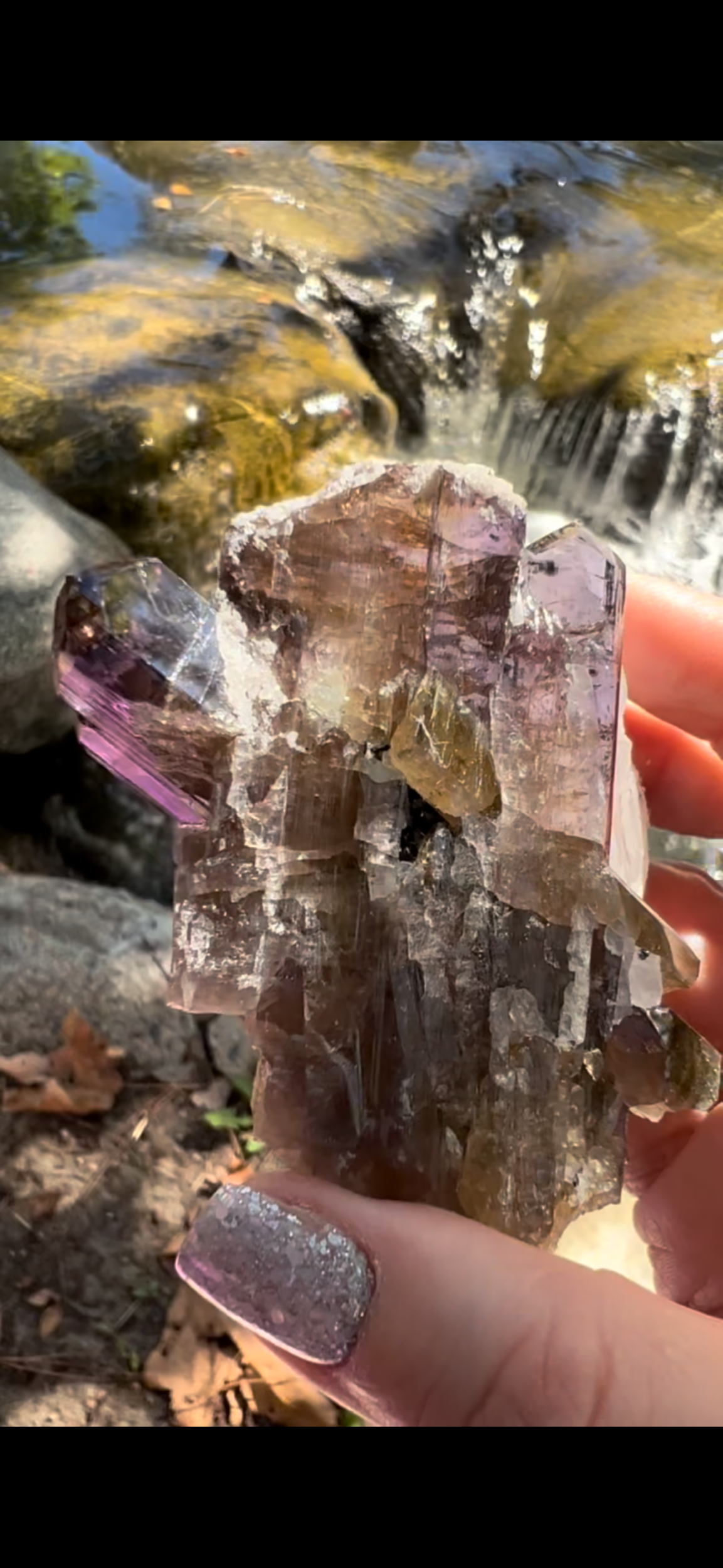 5234CB2E-6530-448B-AA6D-C57072D72D22