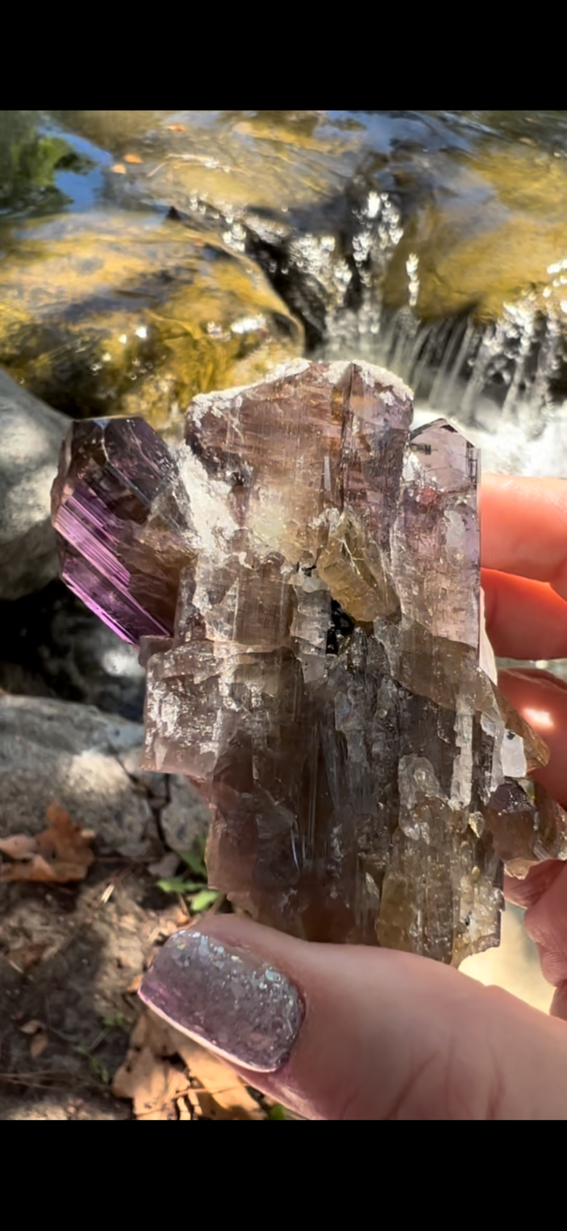 F435F8CF-2155-47EC-A1BE-CDC1B17B5410