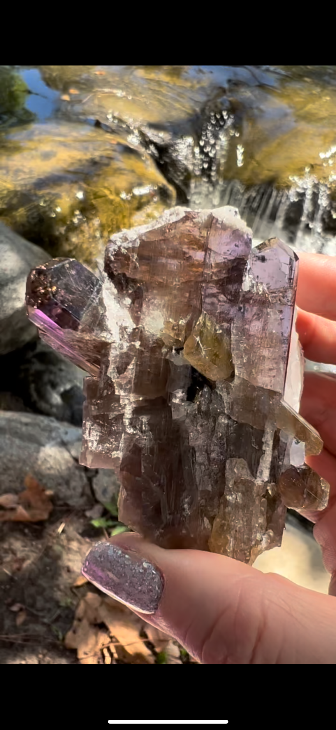 27728790-BB22-426C-AA67-819FBC0588C5