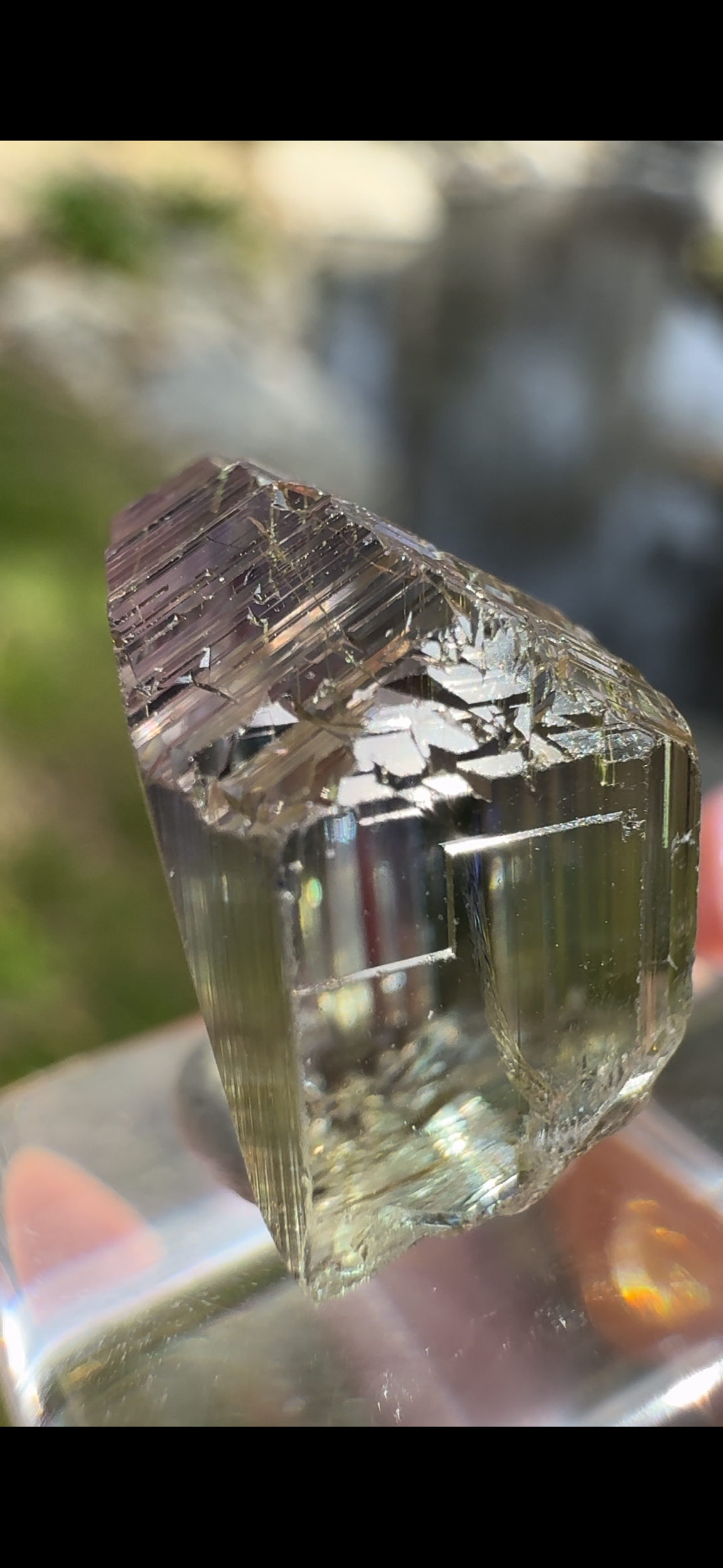 3F4145E9-ABA3-48EC-953A-EC9002D648E7