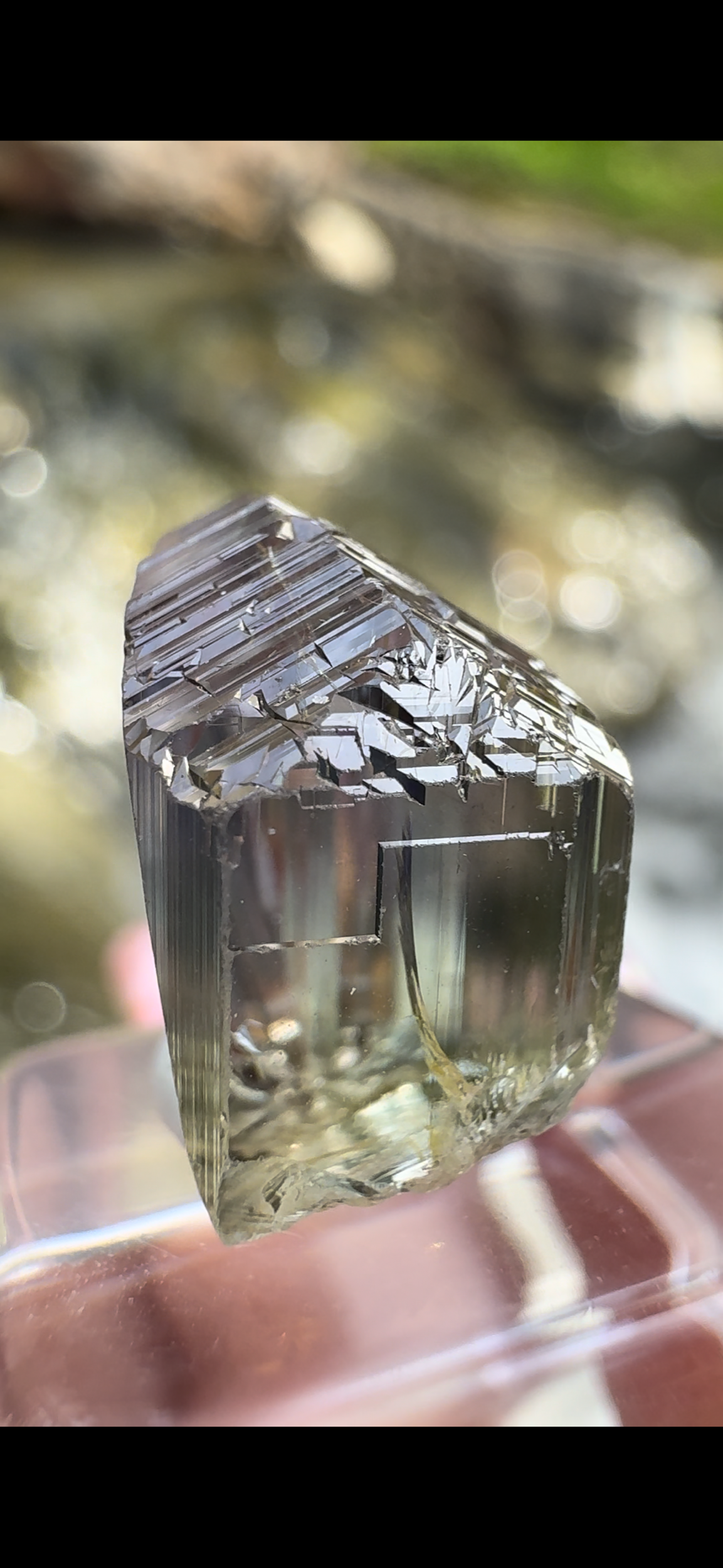 B2955465-908B-4BCB-9079-F2DEEBC3C01B