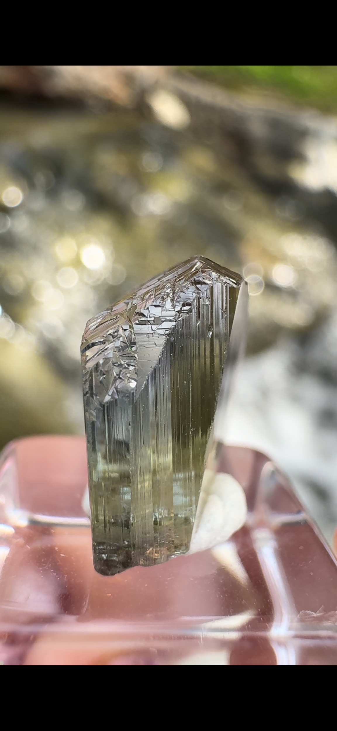 2926DD74-1491-46E8-A4F3-D1AE3B4DFEF1