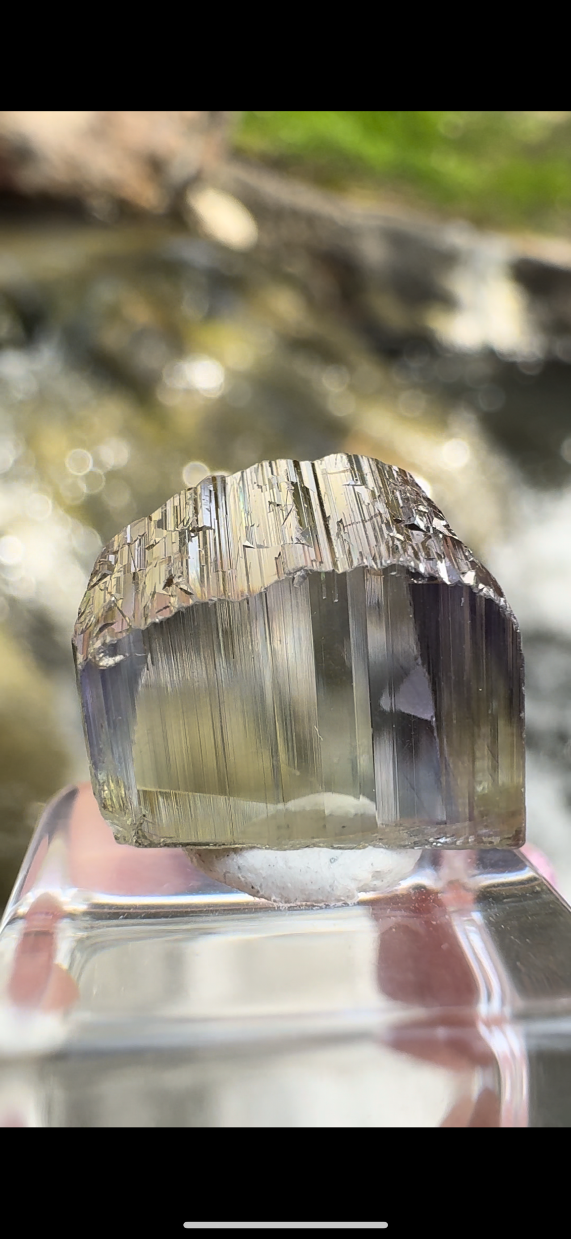 7773A7DE-B2A8-4B66-992E-12267B1D66F1