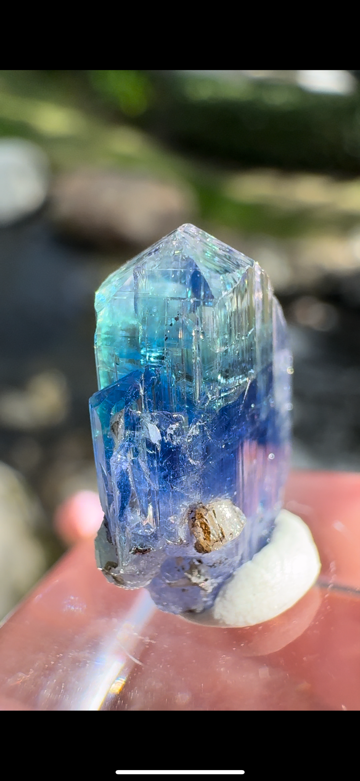 569EDE33-CF2E-46D5-8CF6-368EEB1F88E9