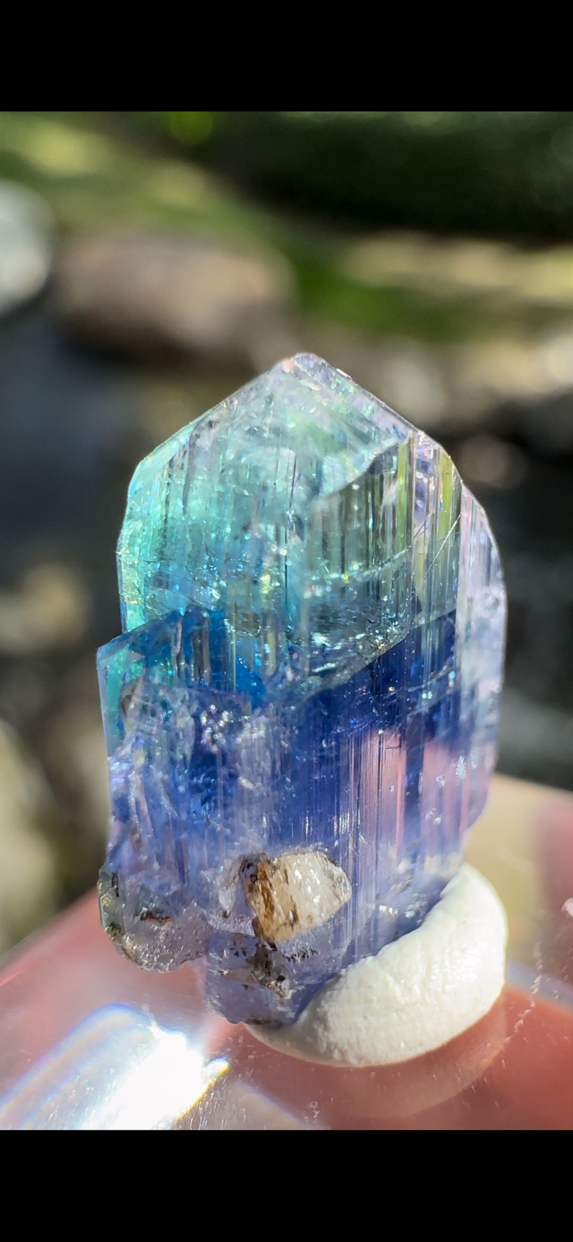 DA336282-069C-449A-8230-C6AFABB34B93