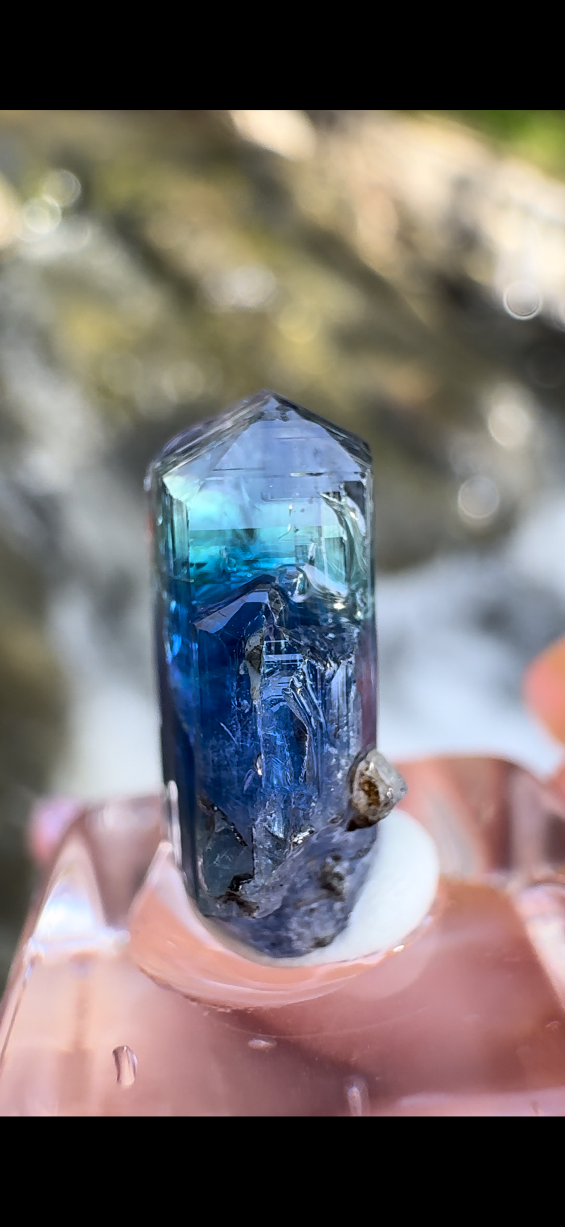 F630A01C-6D19-43B7-8D67-61C52783AD53