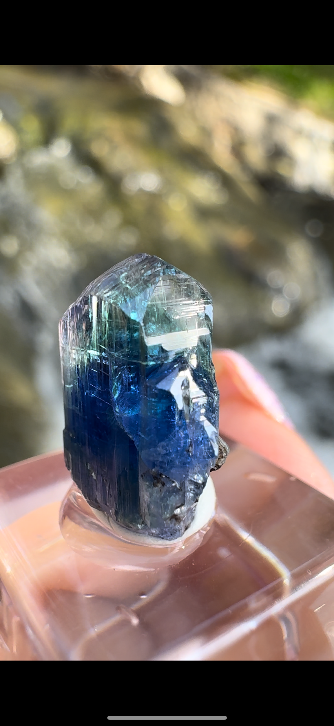 E2A56A0C-F825-43AE-BD95-8055603302E1