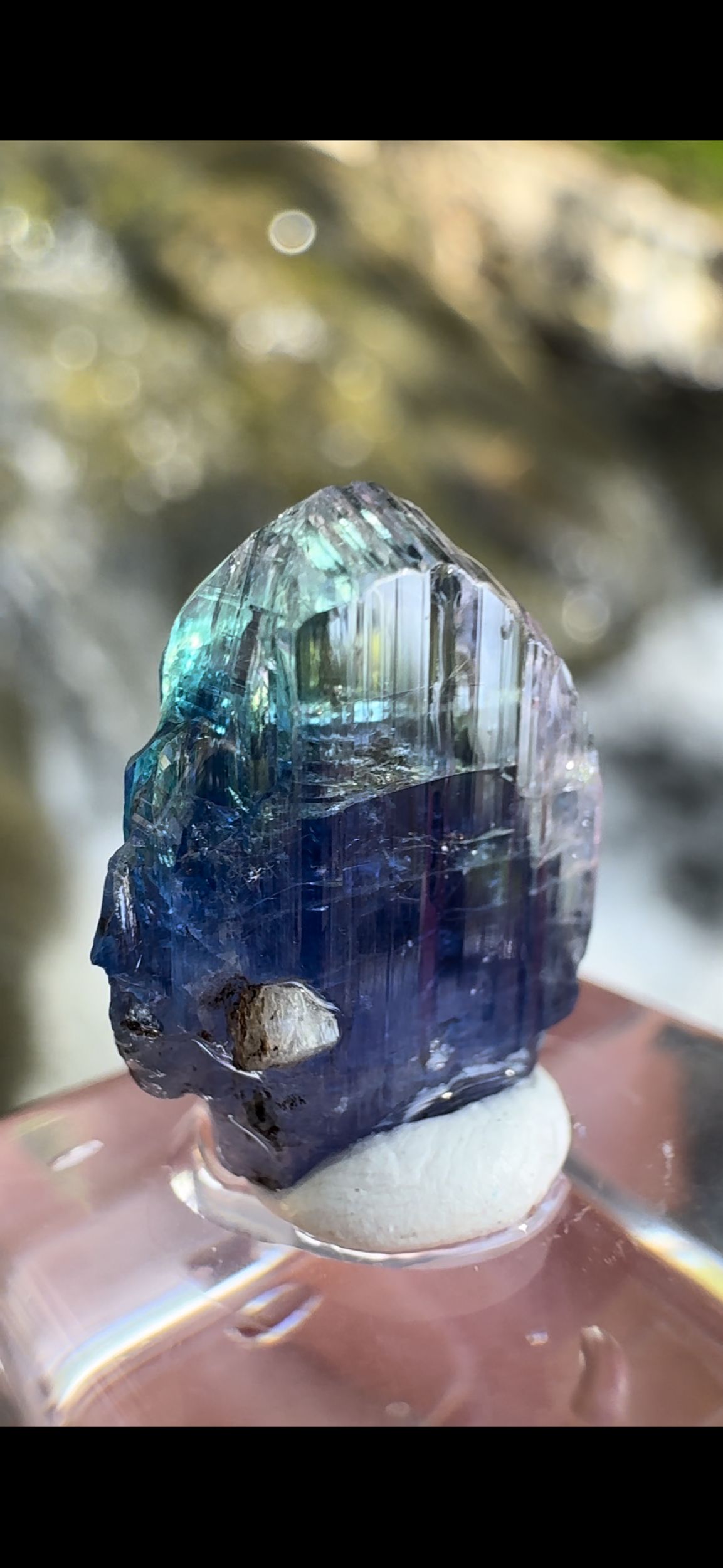 AC1DD2B2-241C-421E-9F53-C078F4063515