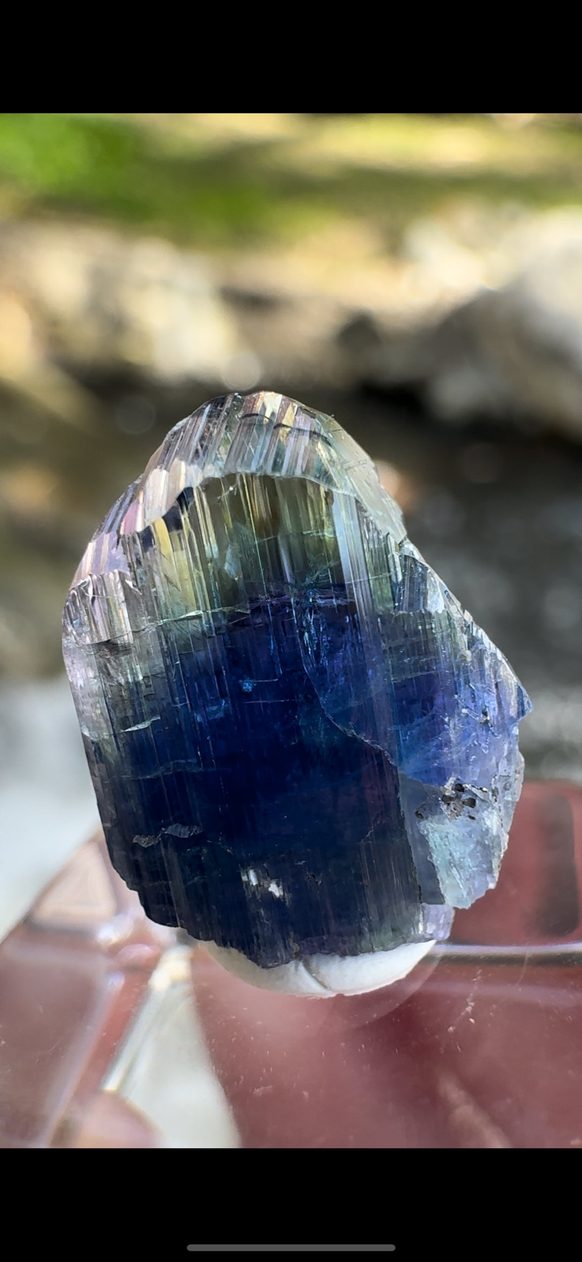 792ADC03-ABFE-4362-B3E9-6291A069147A