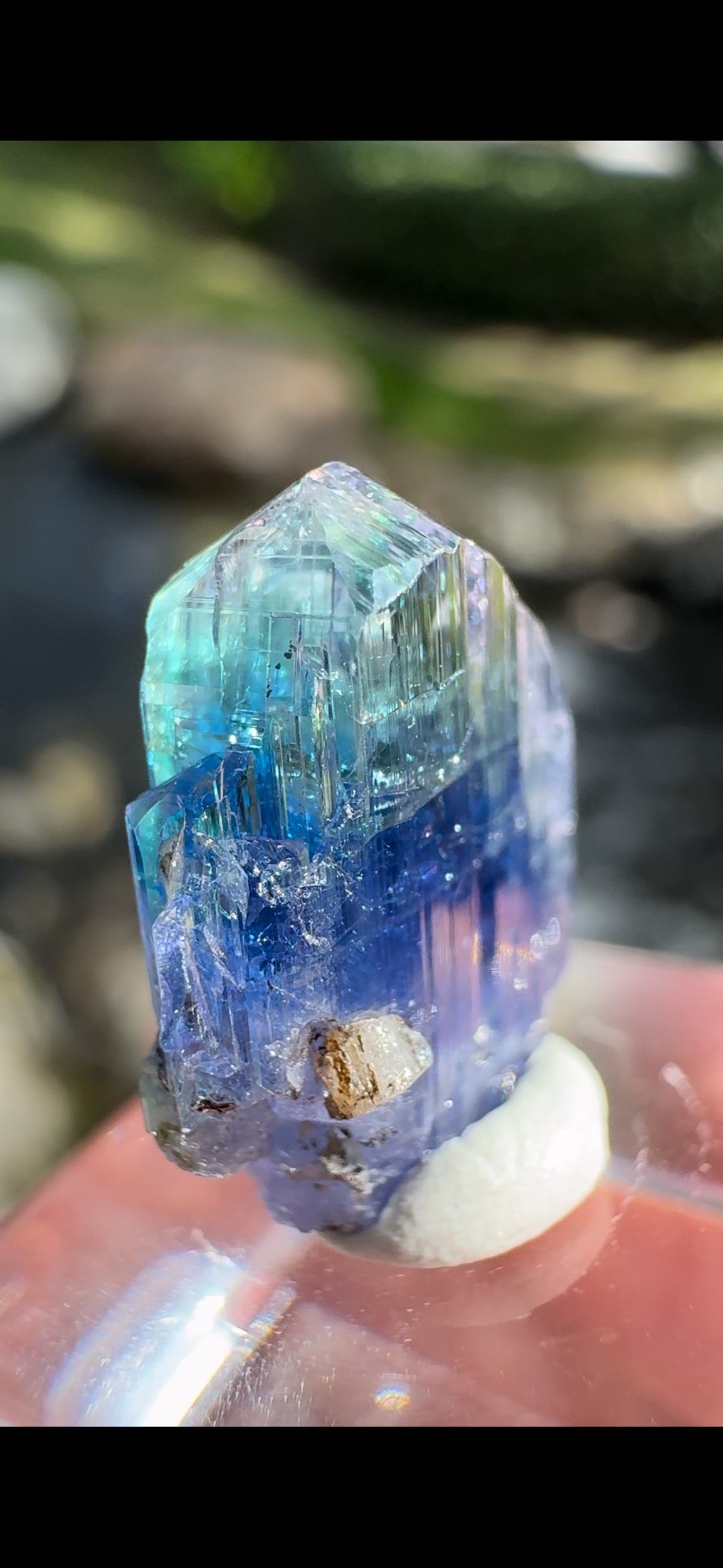 D5553E07-6DBA-45F3-ACEF-7147C19E6656