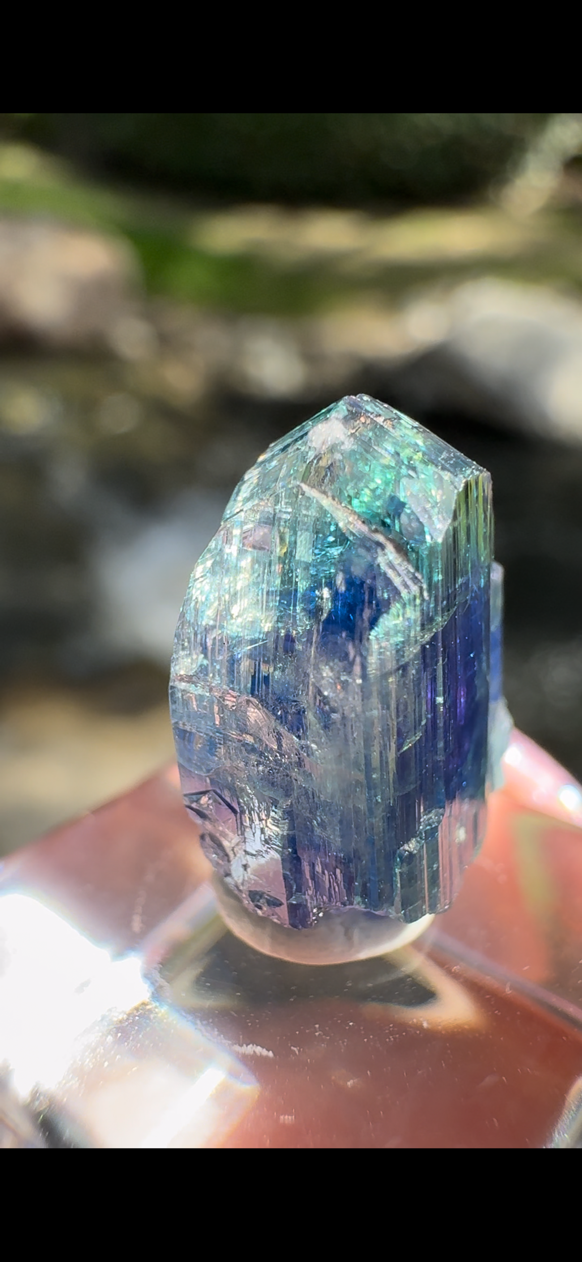 AC8492A5-C6BF-41C4-8F87-B357B2C77E9B