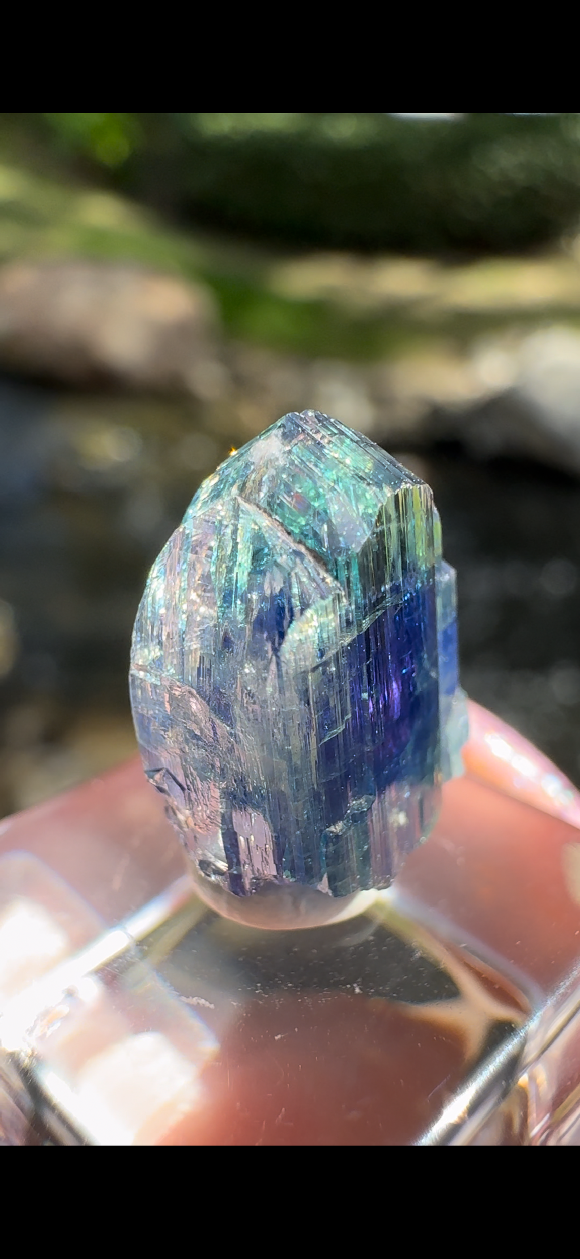 A8412CA9-36D4-44D3-BE04-A23784F5AAC1