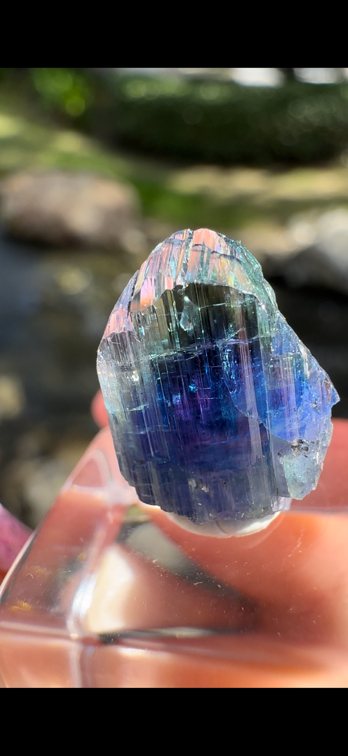 05B8276F-85B0-4956-8079-B265208AA7DB