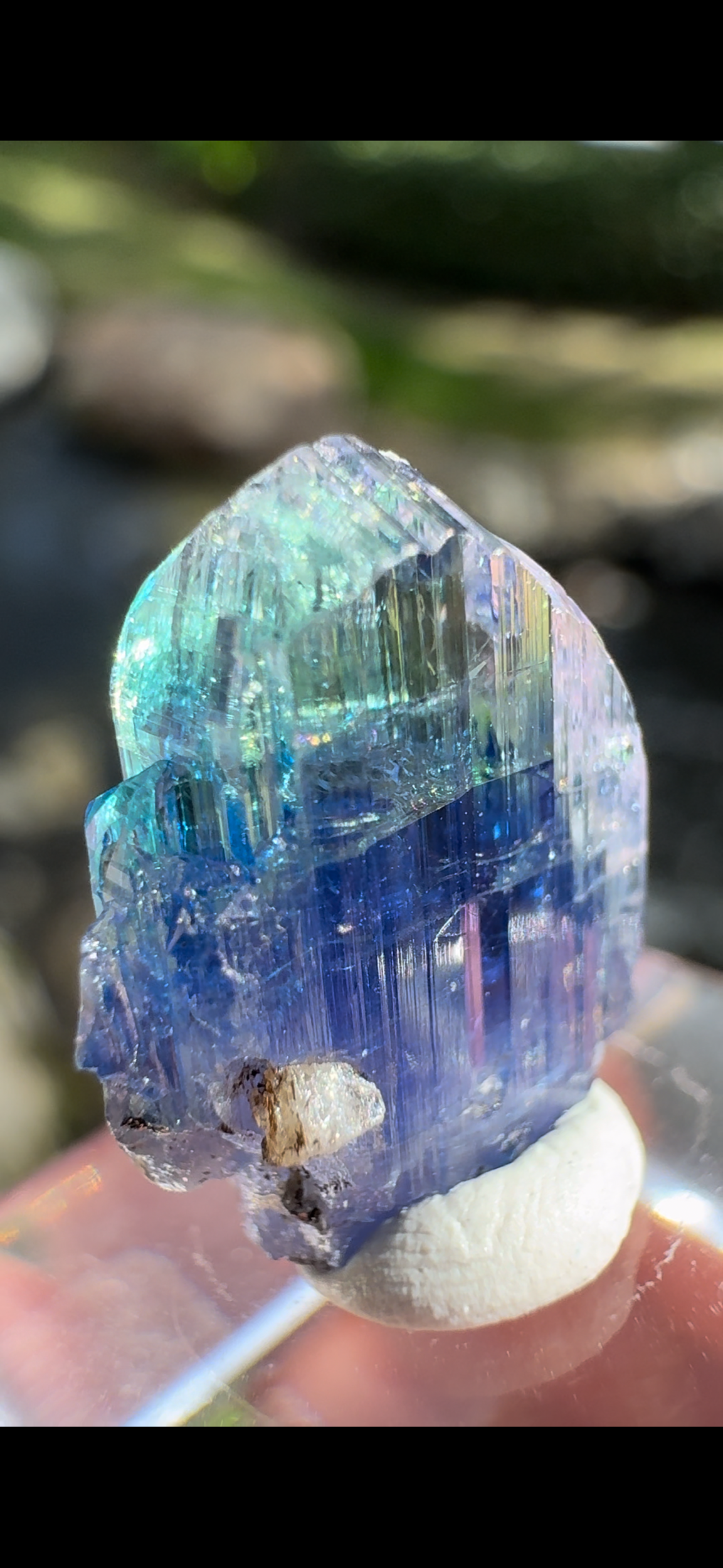 5982BA80-93D2-491A-A377-9CD3715E889D