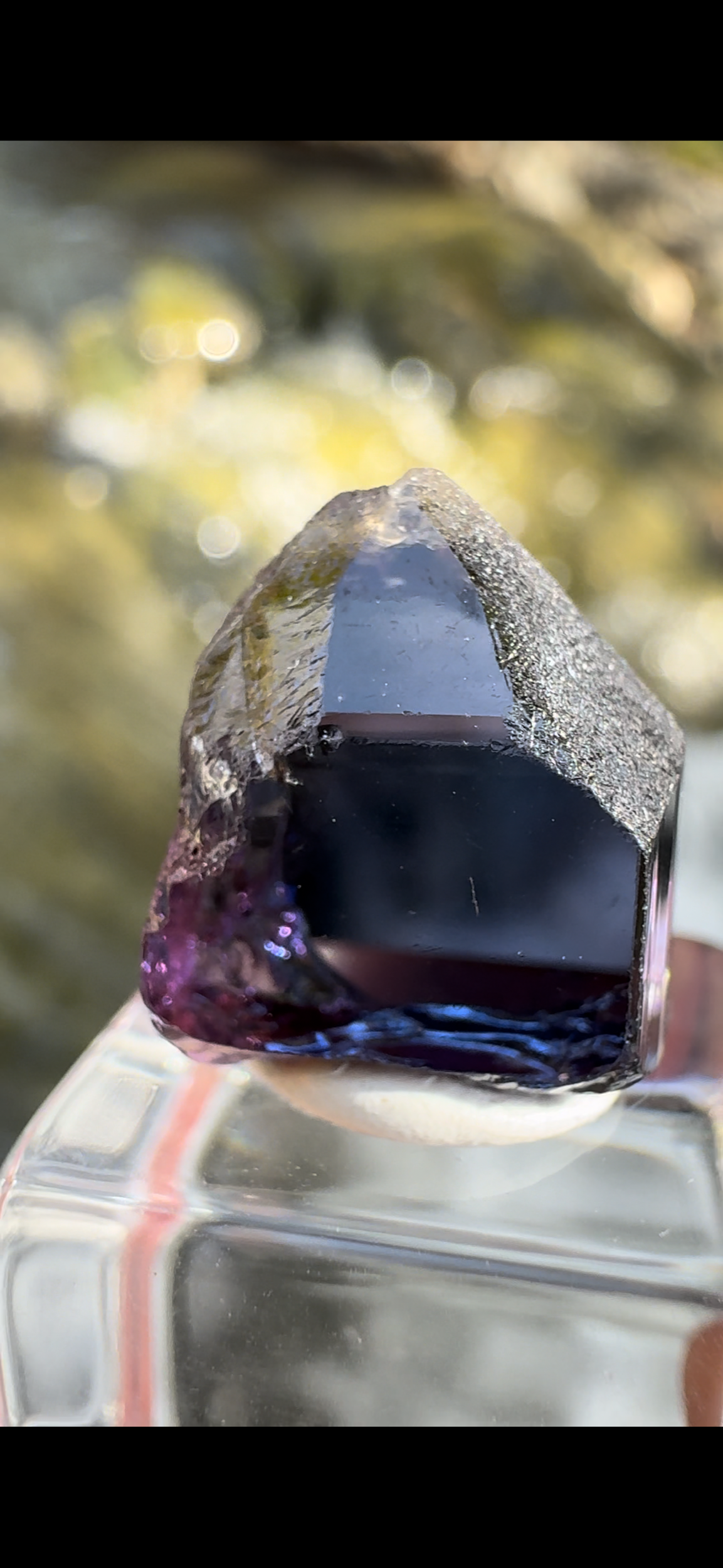 55C3BC21-3C3D-4BC2-BBA2-7881381D9C13