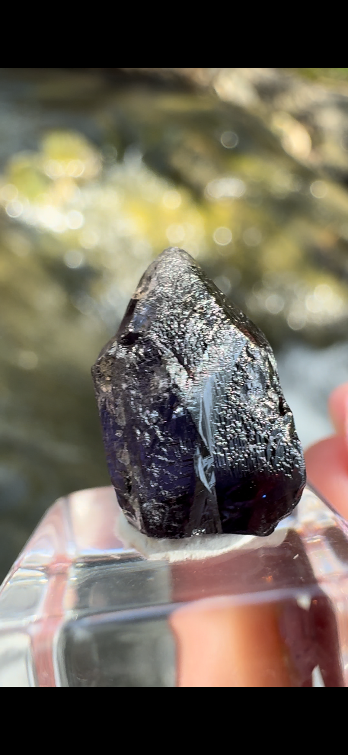 9371DC01-0DBA-47E5-AF3B-C77F5DF22AAD