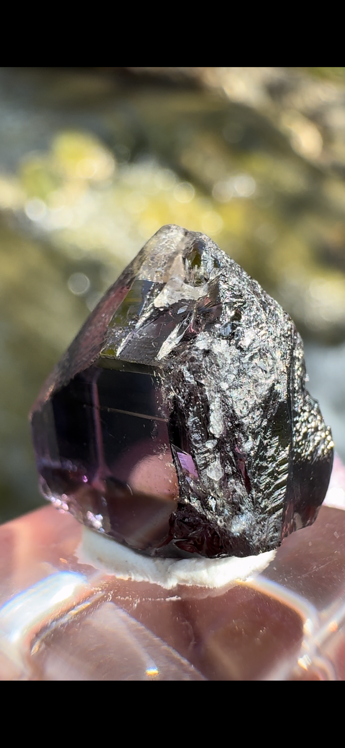 76DC10F1-A2CB-44D5-9337-4C687094DEA5