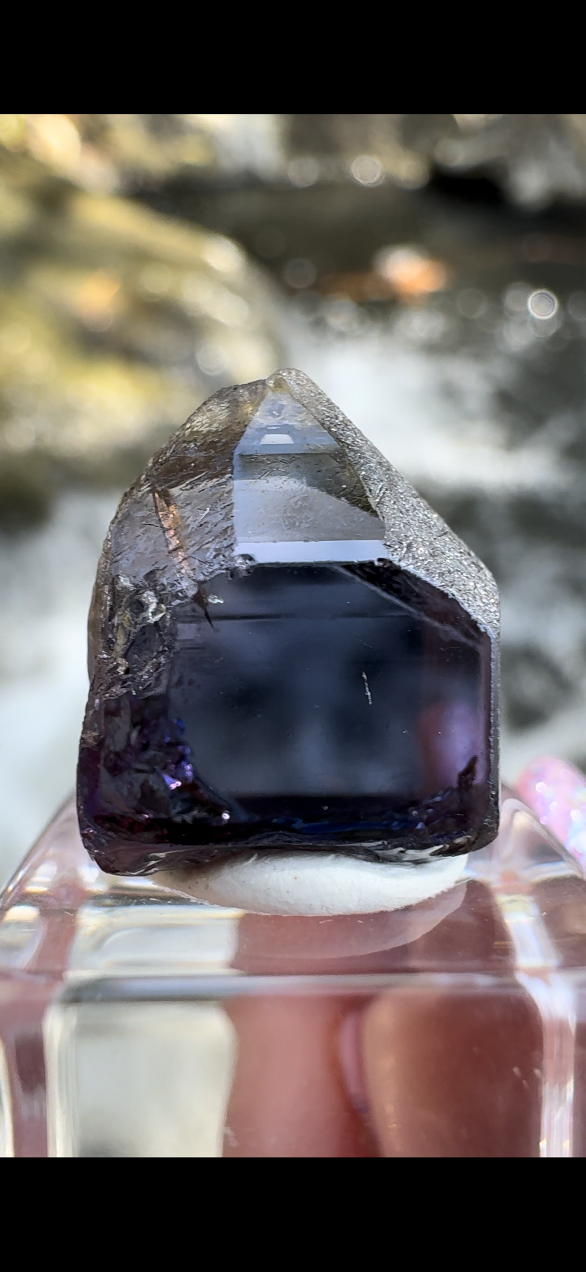 62445AAB-E5FC-440A-83CE-C38F61C5847B