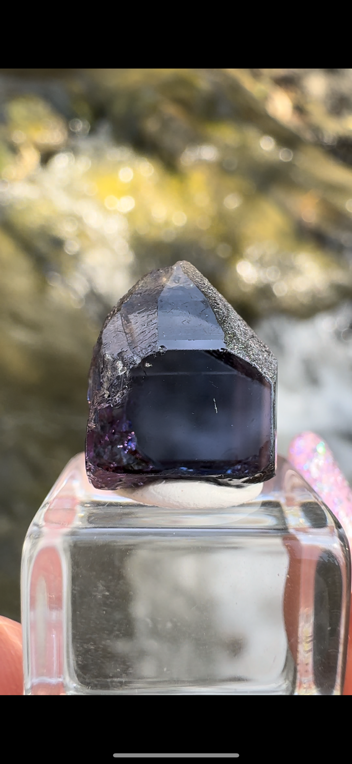 FF496C34-A9F1-4BDB-9497-5D211306766B