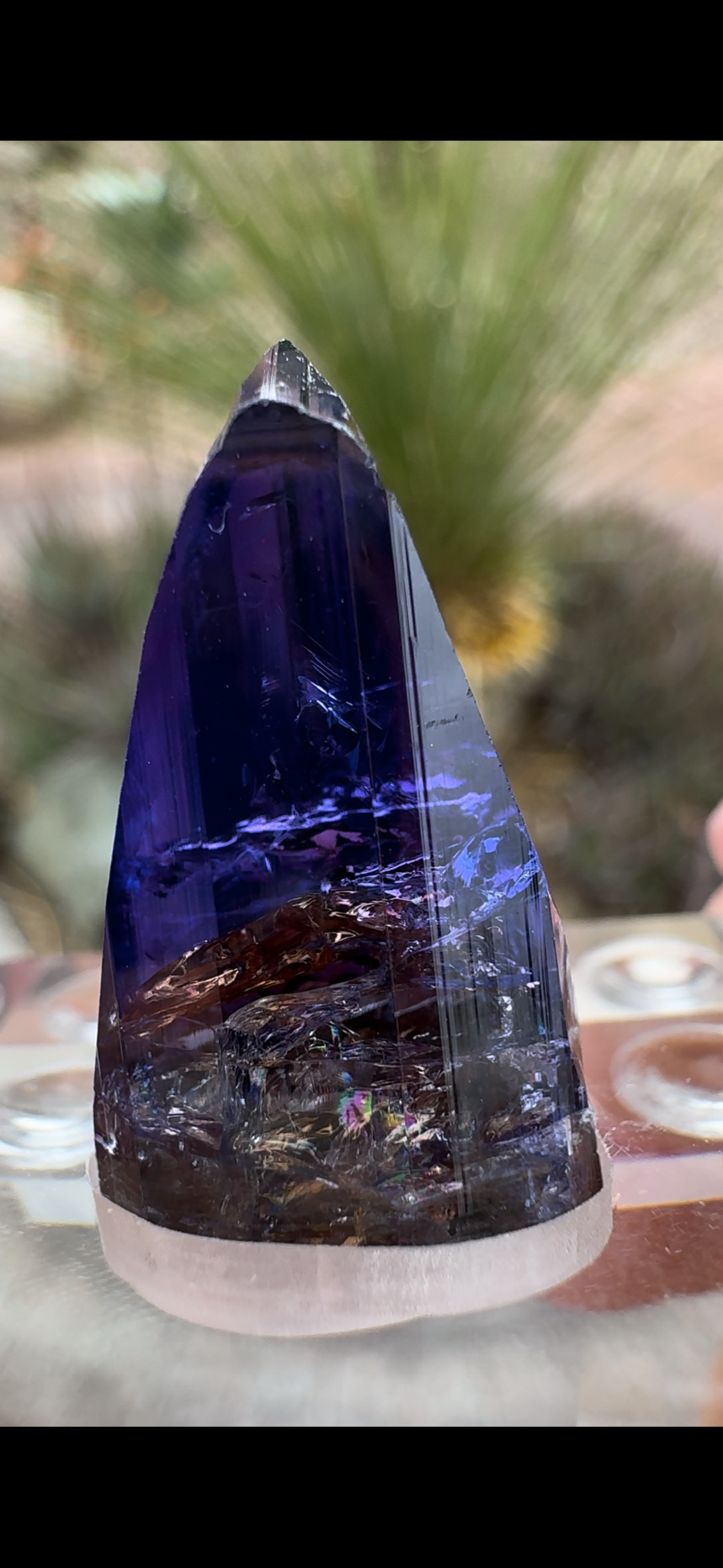 8EB605FB-532D-4ABA-95D3-3EBB50DE802D