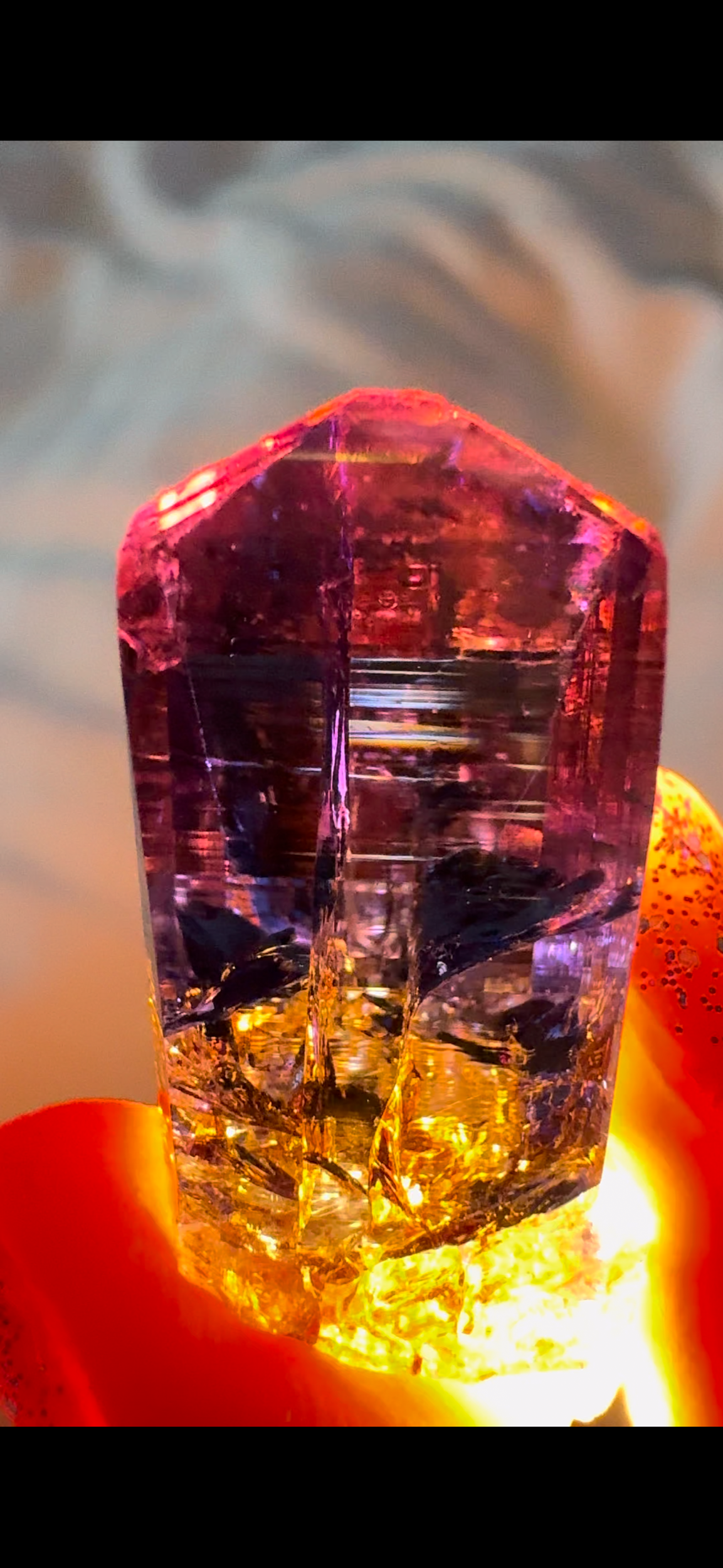 7AC583E3-1BF6-4F1B-B032-73D8763F962C