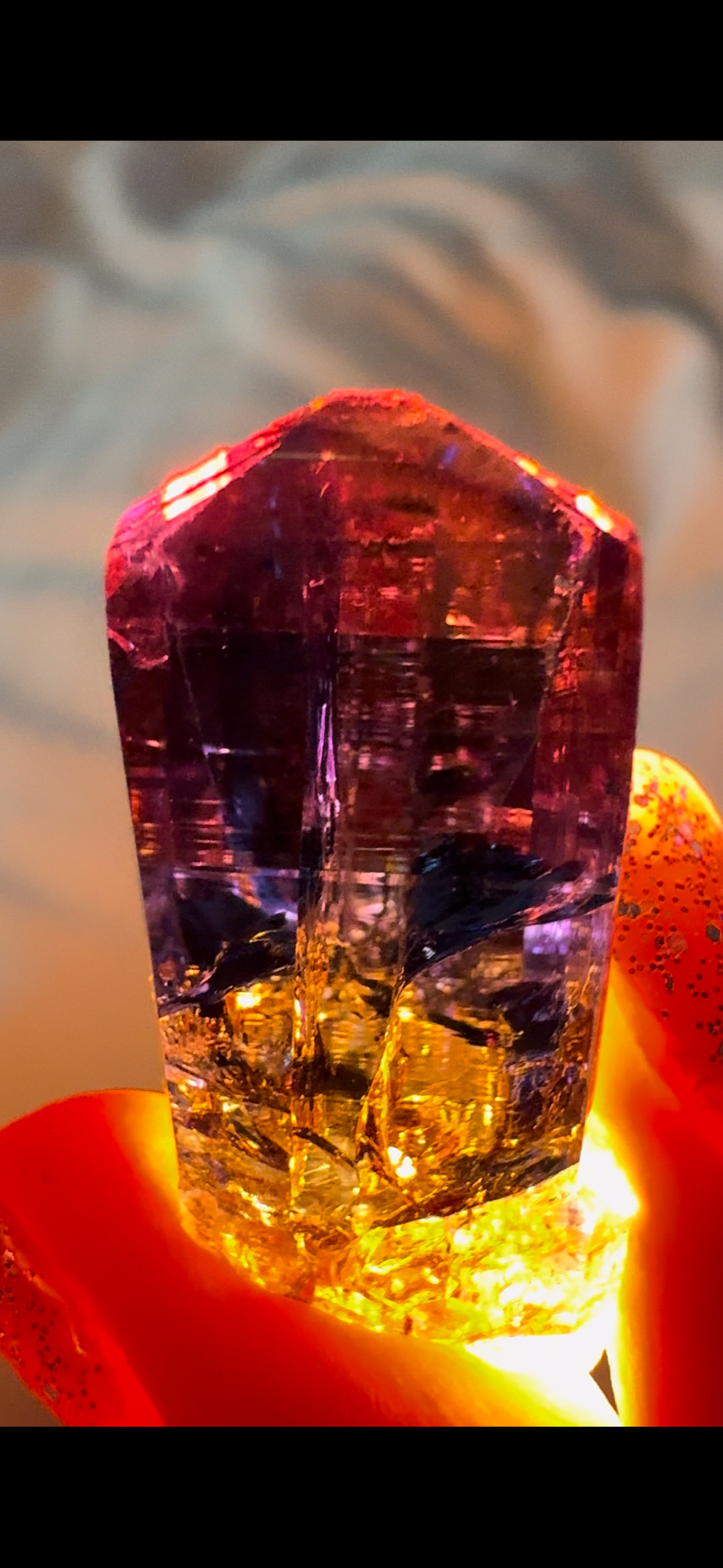 E15516D9-3E5E-4ECF-B0C7-6E28B9B560DB