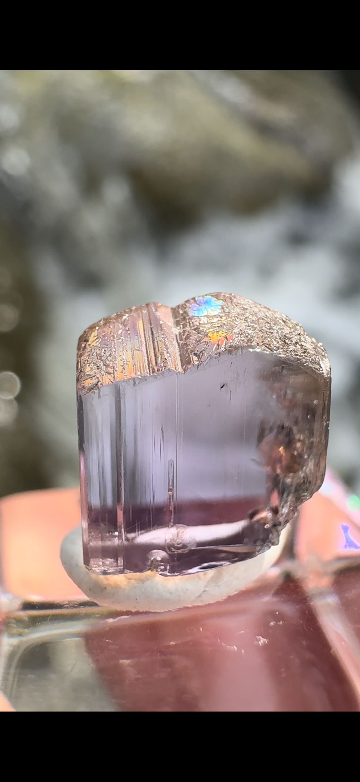 27AA4825-77A2-42C5-B372-866BED1627CF