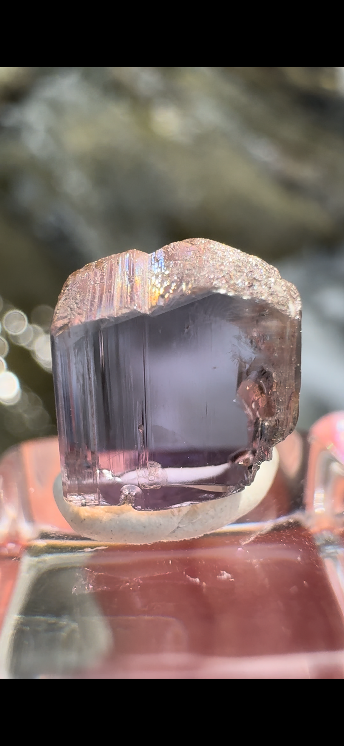 F967D0B7-3BF0-476A-A580-B6E4E3C0907A