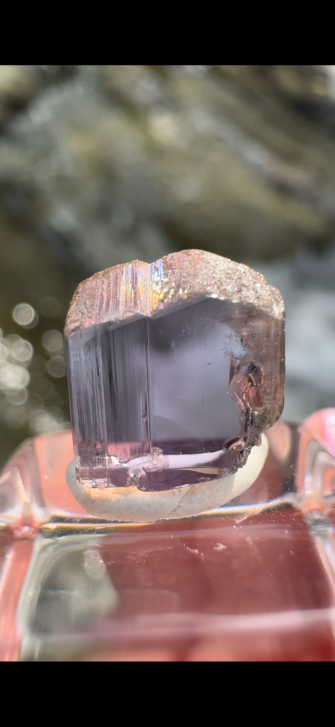 AEB05CA3-6A99-4029-B314-18993CD330D7