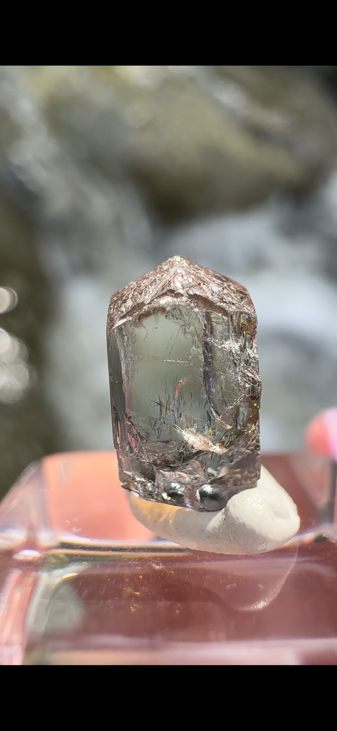 7C625B4A-9244-4624-8521-EABB142BAC8A