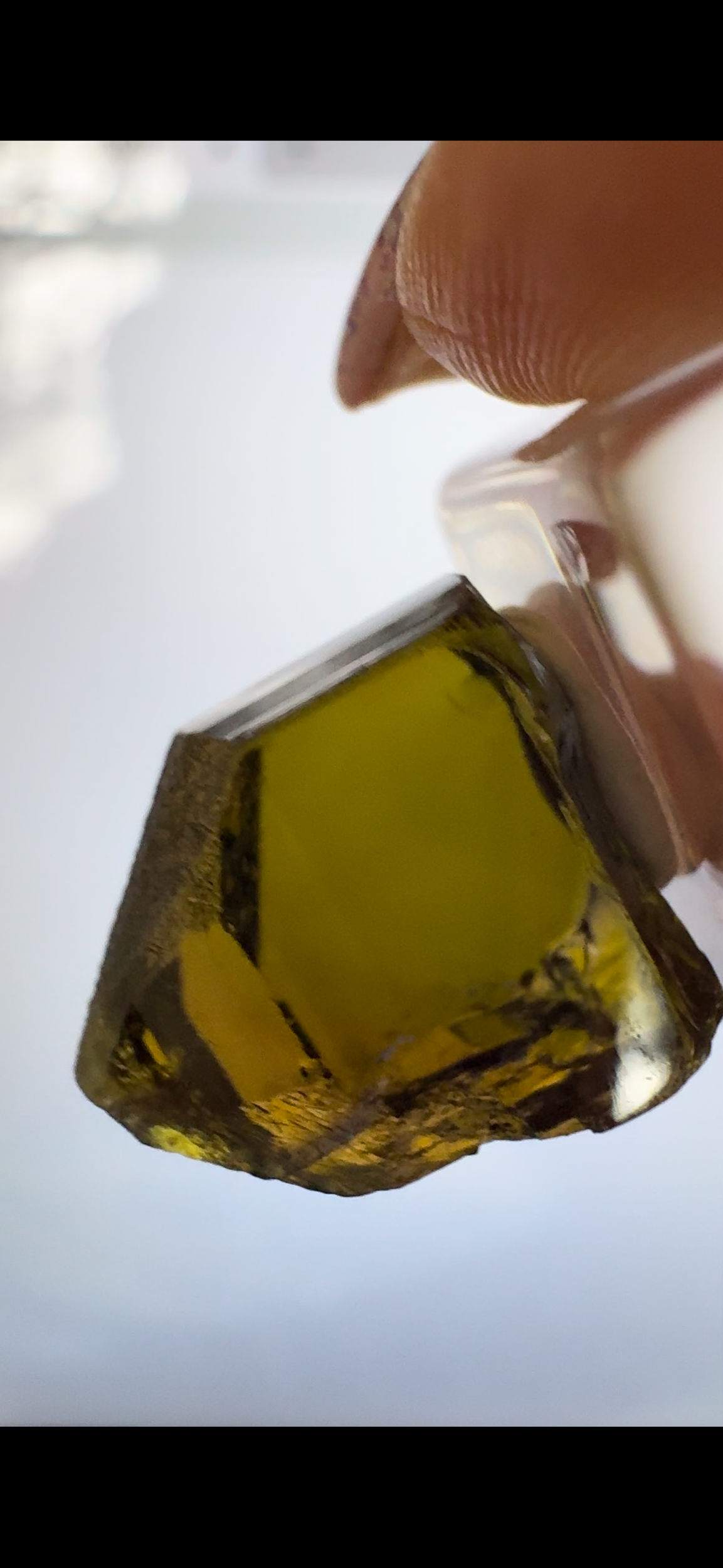 C0DE5924-F777-40FE-AE66-339AF7B3E036