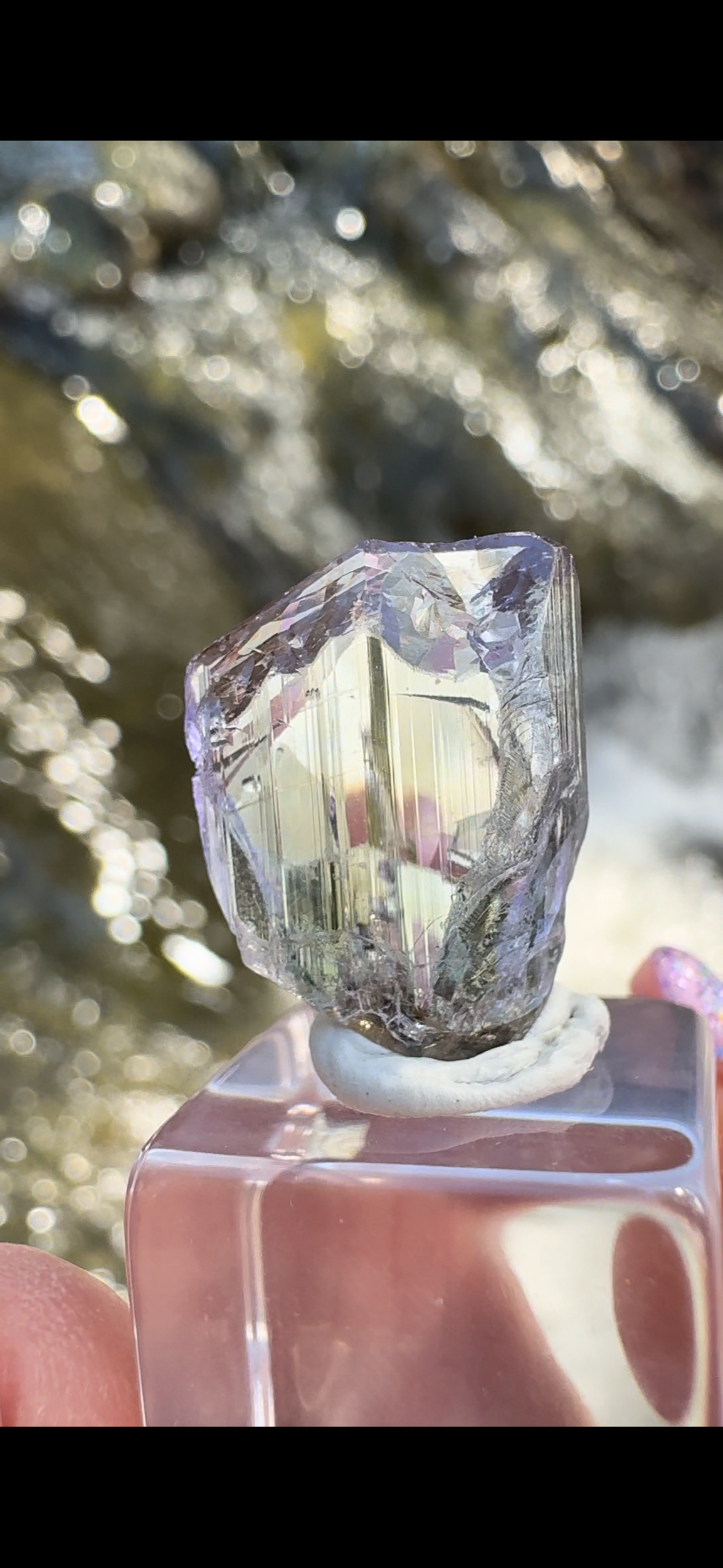 DAC72ACF-6ADD-4624-8300-995E9132D779