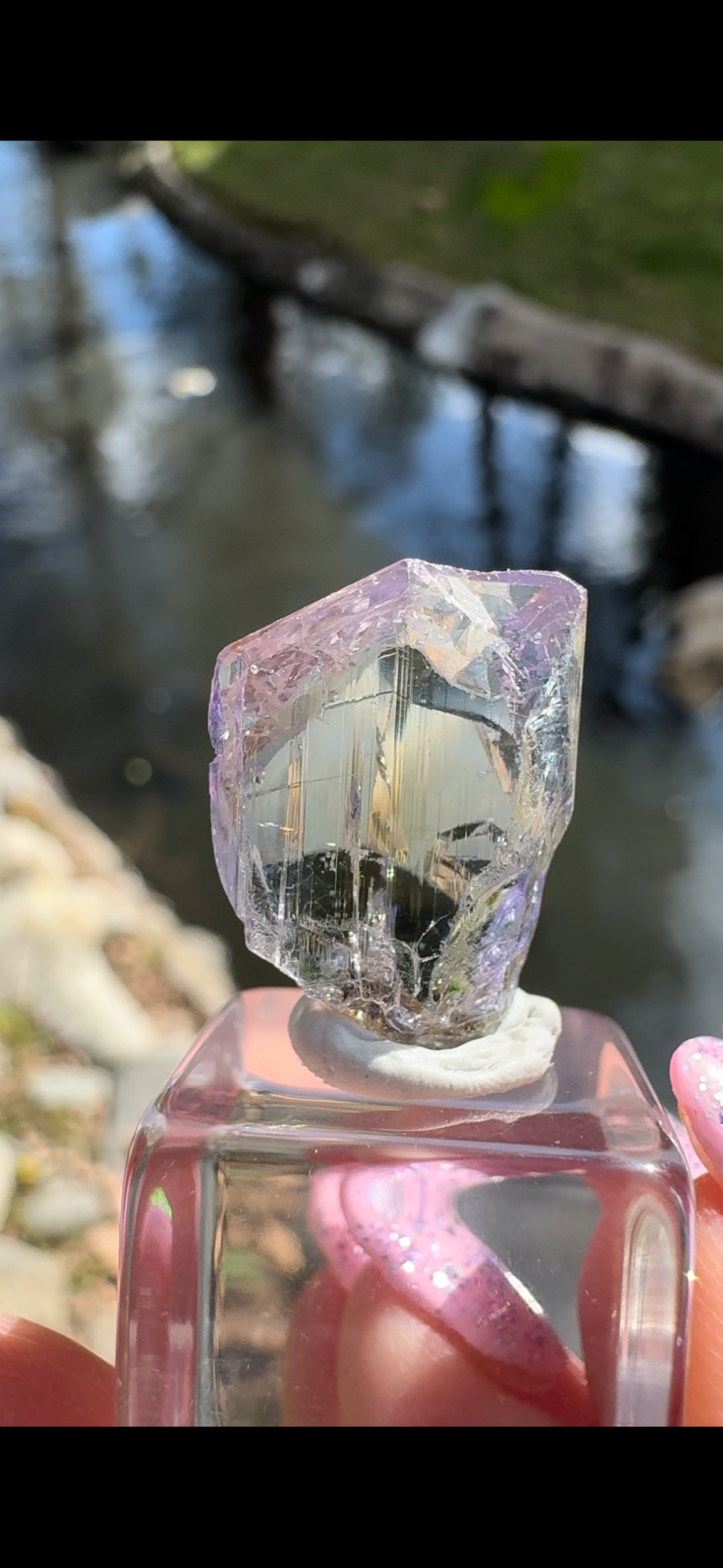 586C8EAE-A2E2-4BB5-B979-F8E52F7E6095