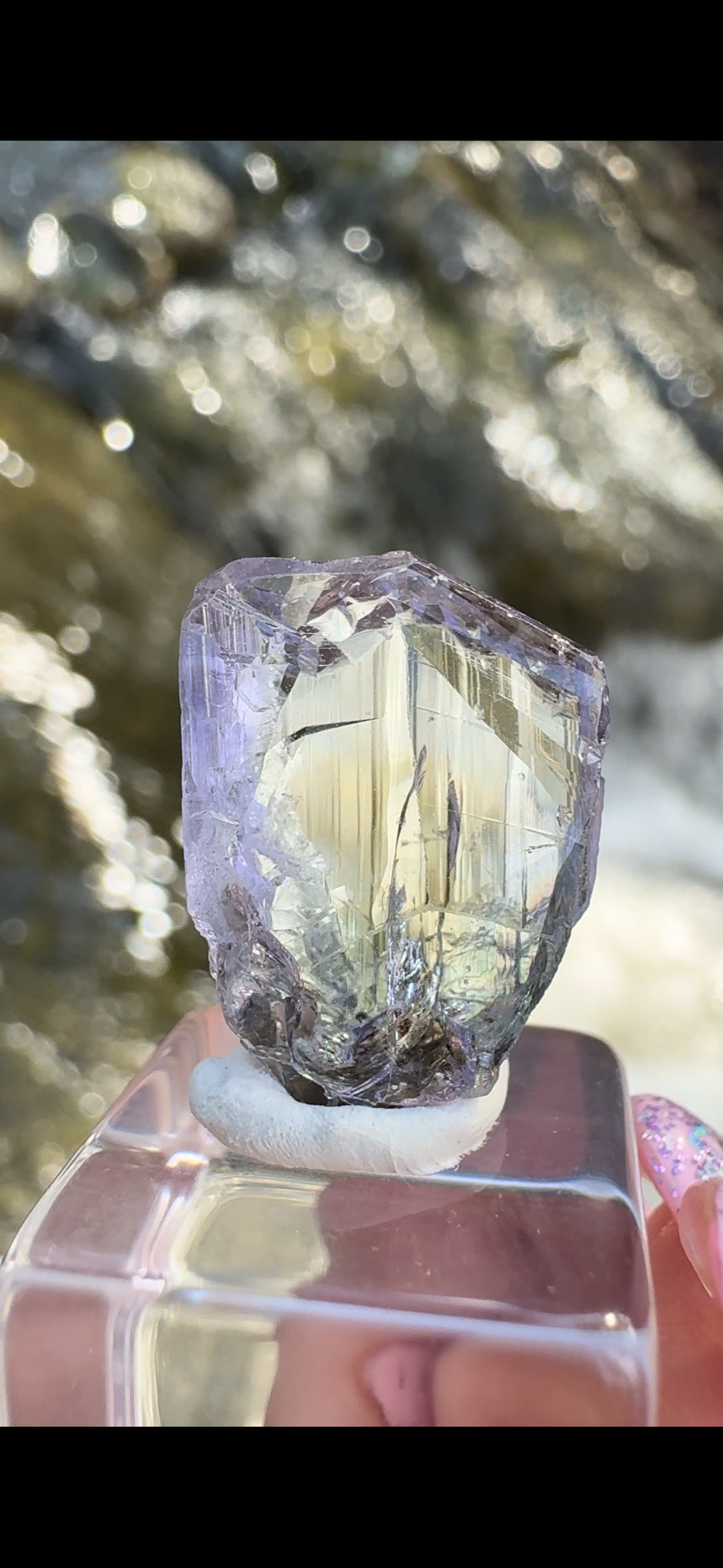 712A7572-F64B-4506-B95B-0421AA7E53E4