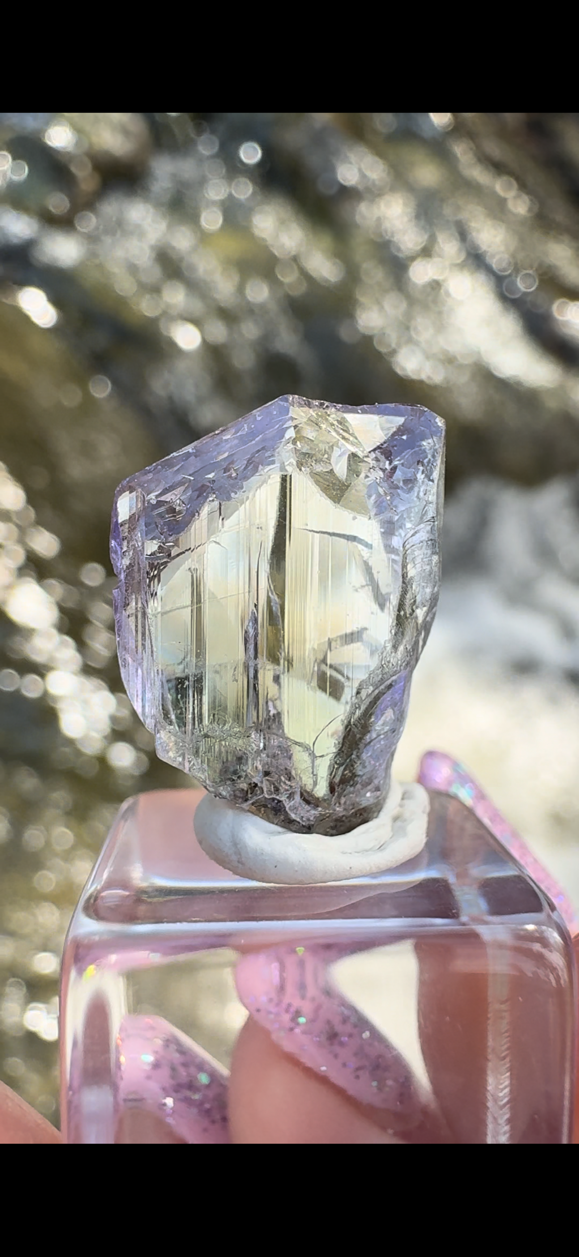 88E25BEE-B10A-4AB3-B4DB-12FD738F13BA