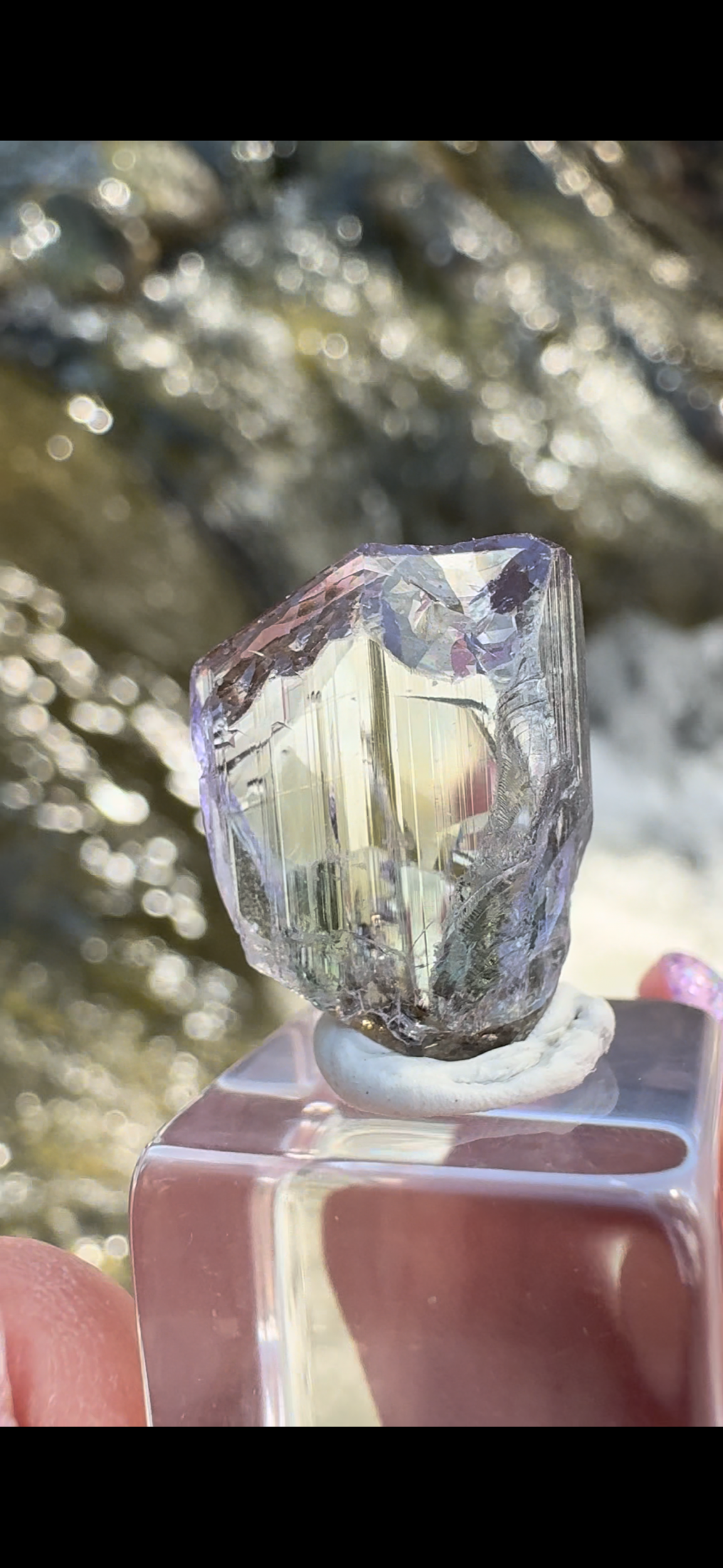 1828CB20-2DBE-4A91-9810-2BC65F46439F