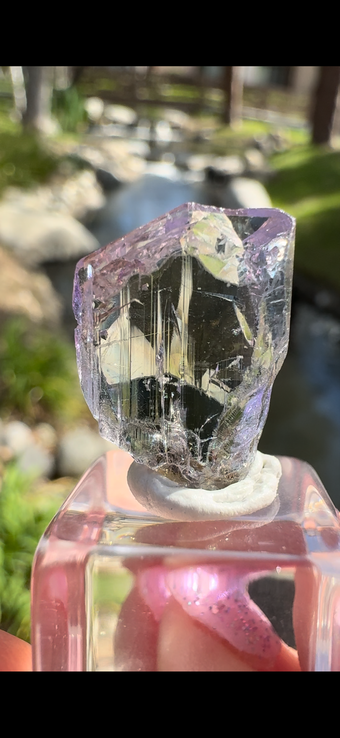 D4111486-4EF4-4B96-8C8F-35A13098CB65